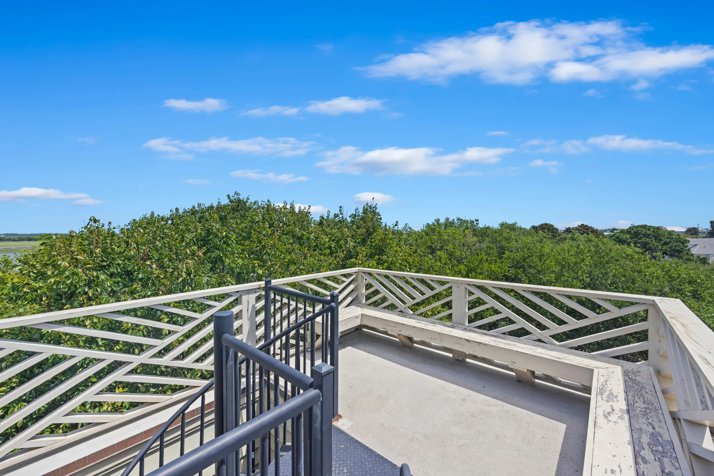 Wander Palms Golden Shores #39