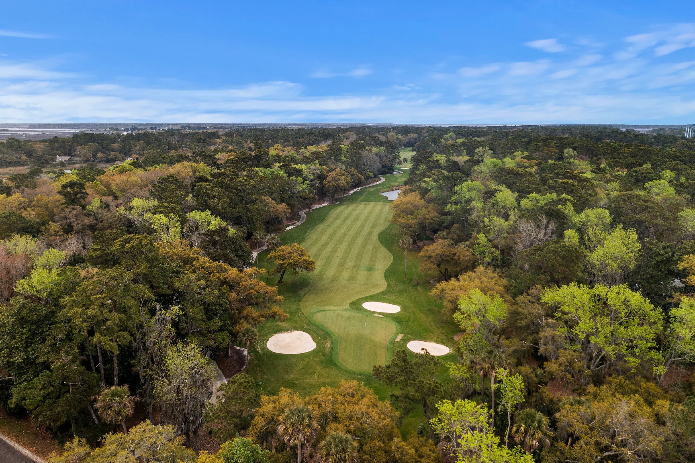 Wander Seabrook Golf Views #18