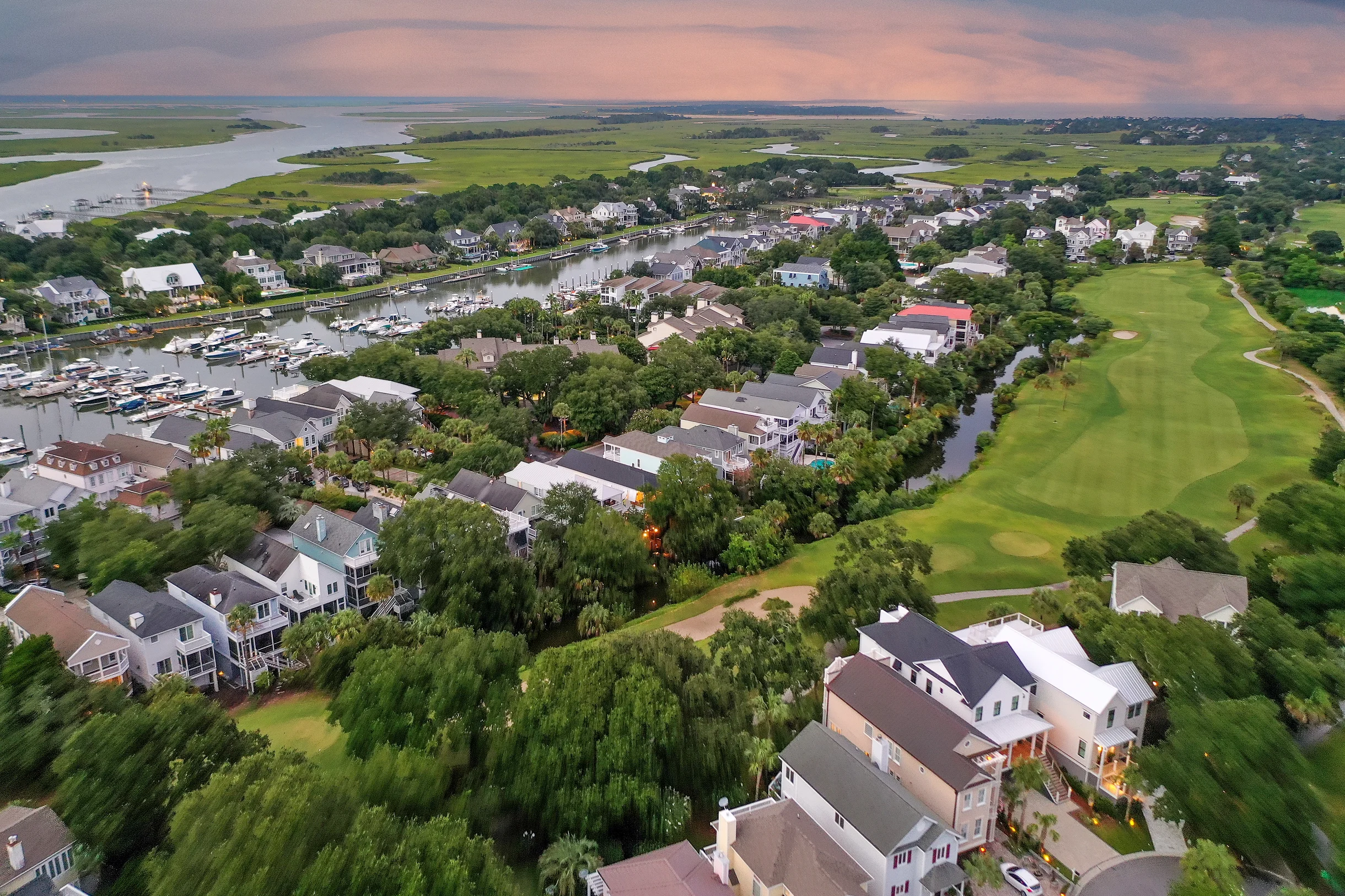 Wander Palms Harbor #47