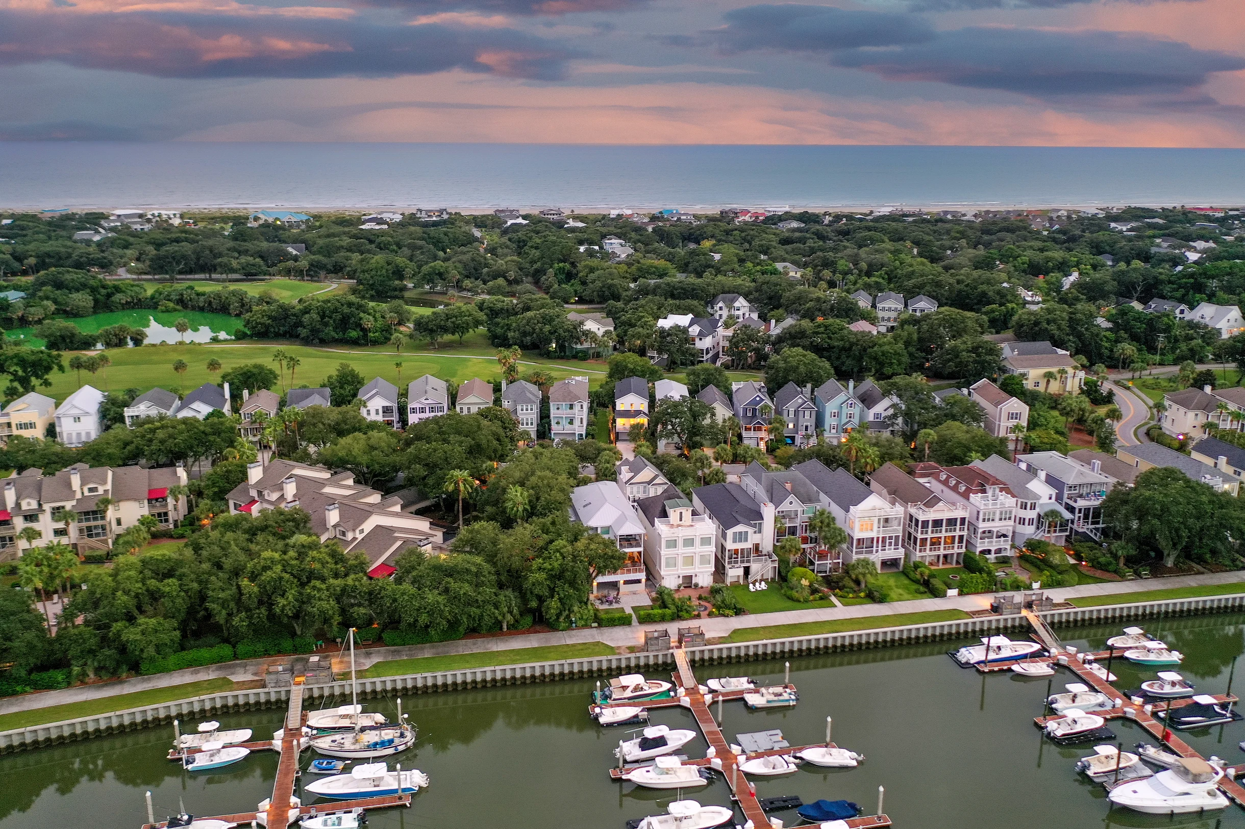 Wander Palms Harbor #41