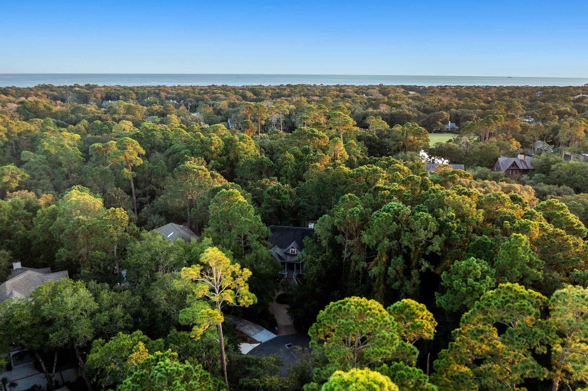 Wander Kiawah Evergreen #4