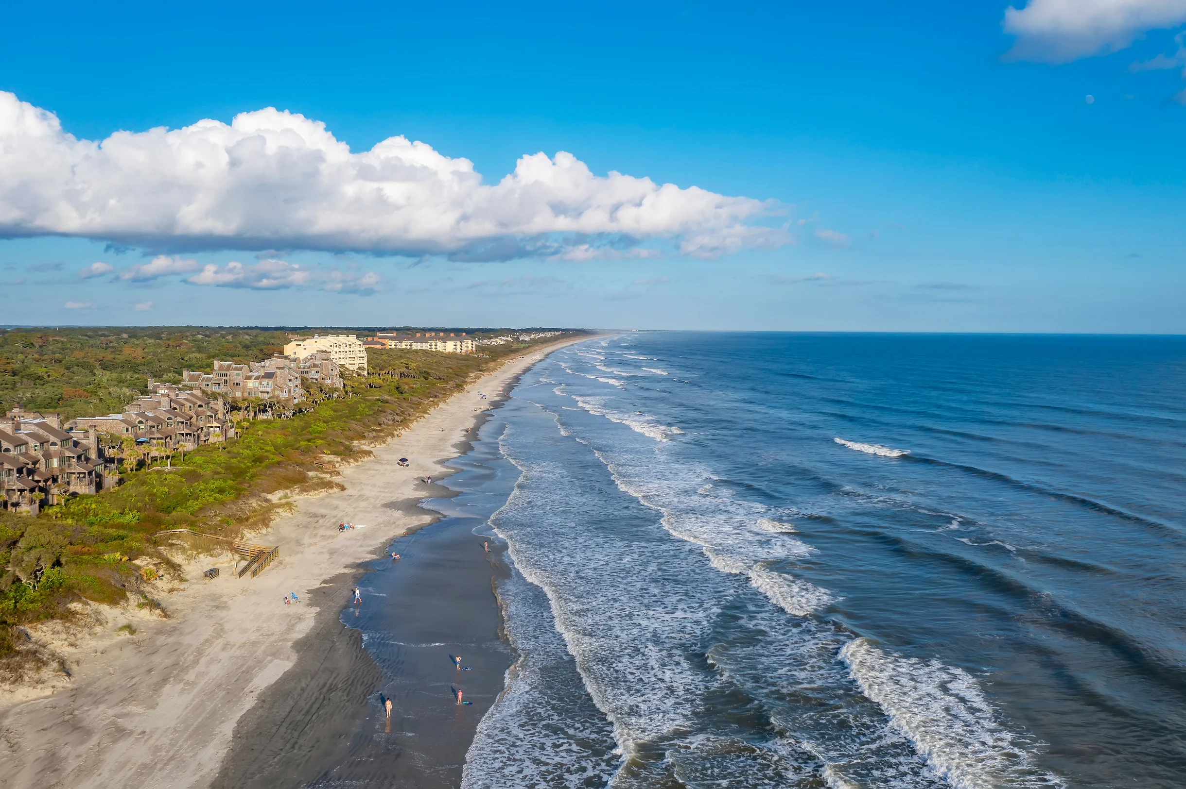 Wander Kiawah Winds #4