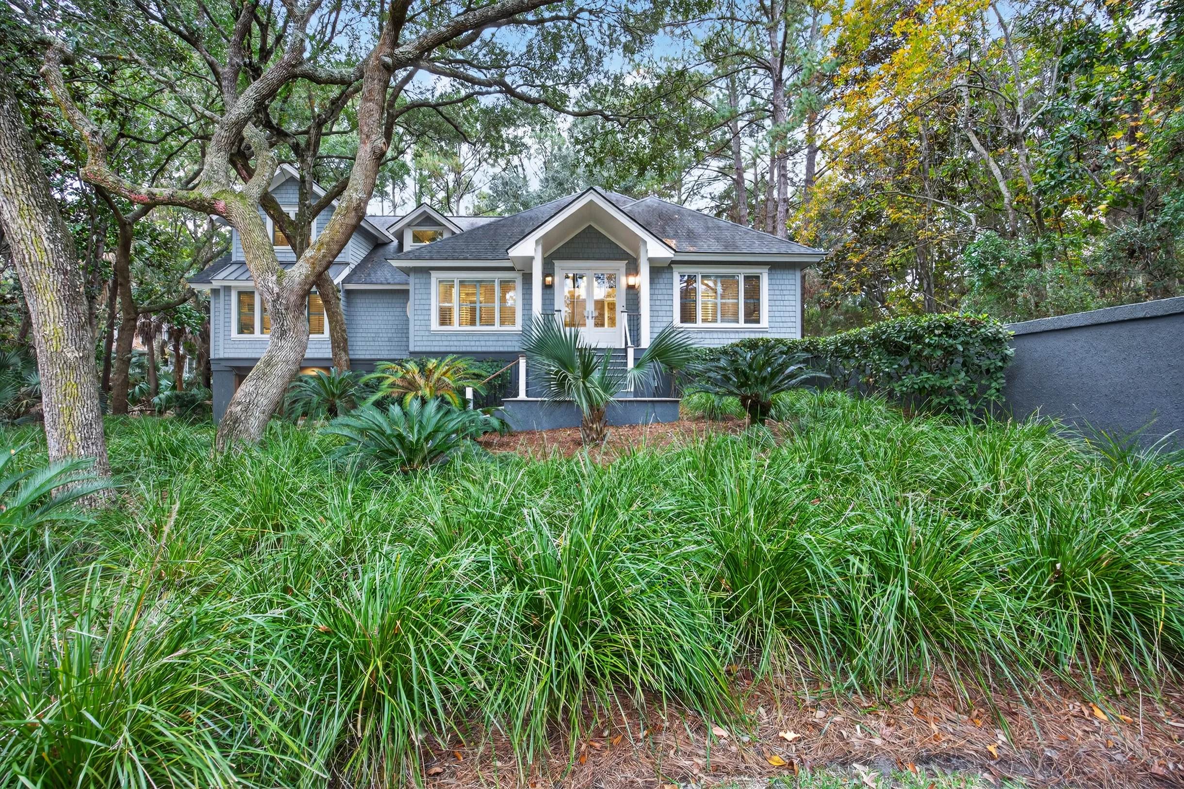 Wander Kiawah Maritime Forest #4