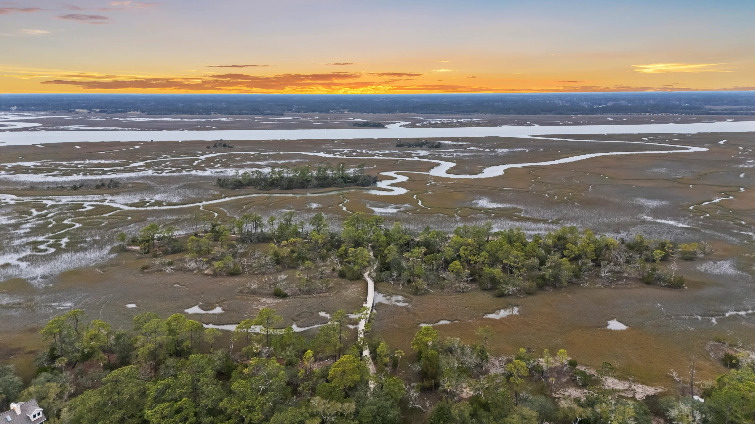 Wander Kiawah Maritime Forest #58