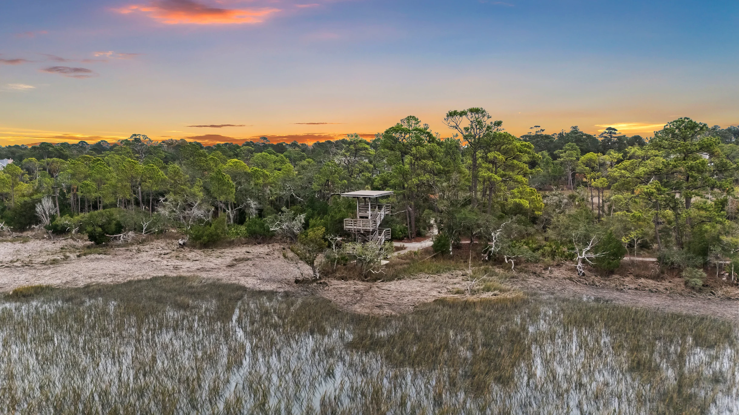 Wander Kiawah Maritime Forest #5