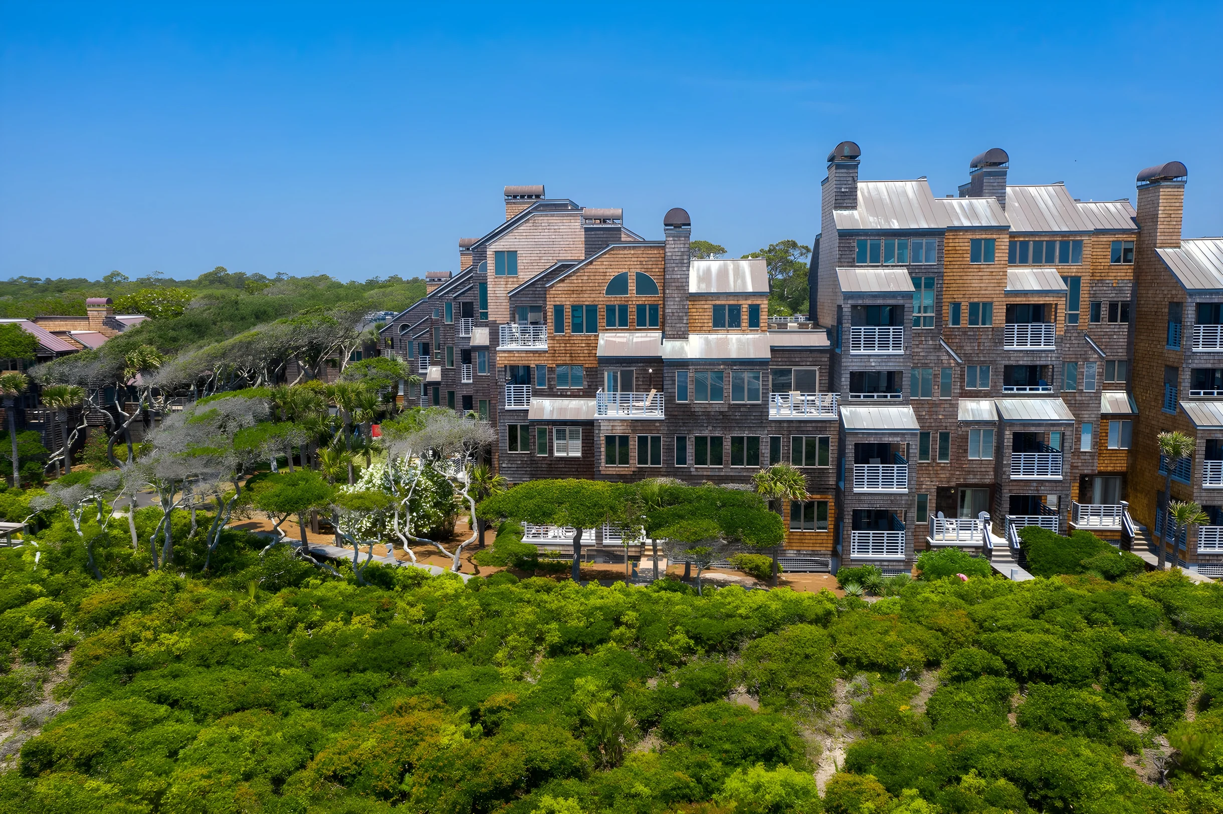 Wander Kiawah Palmettos #4