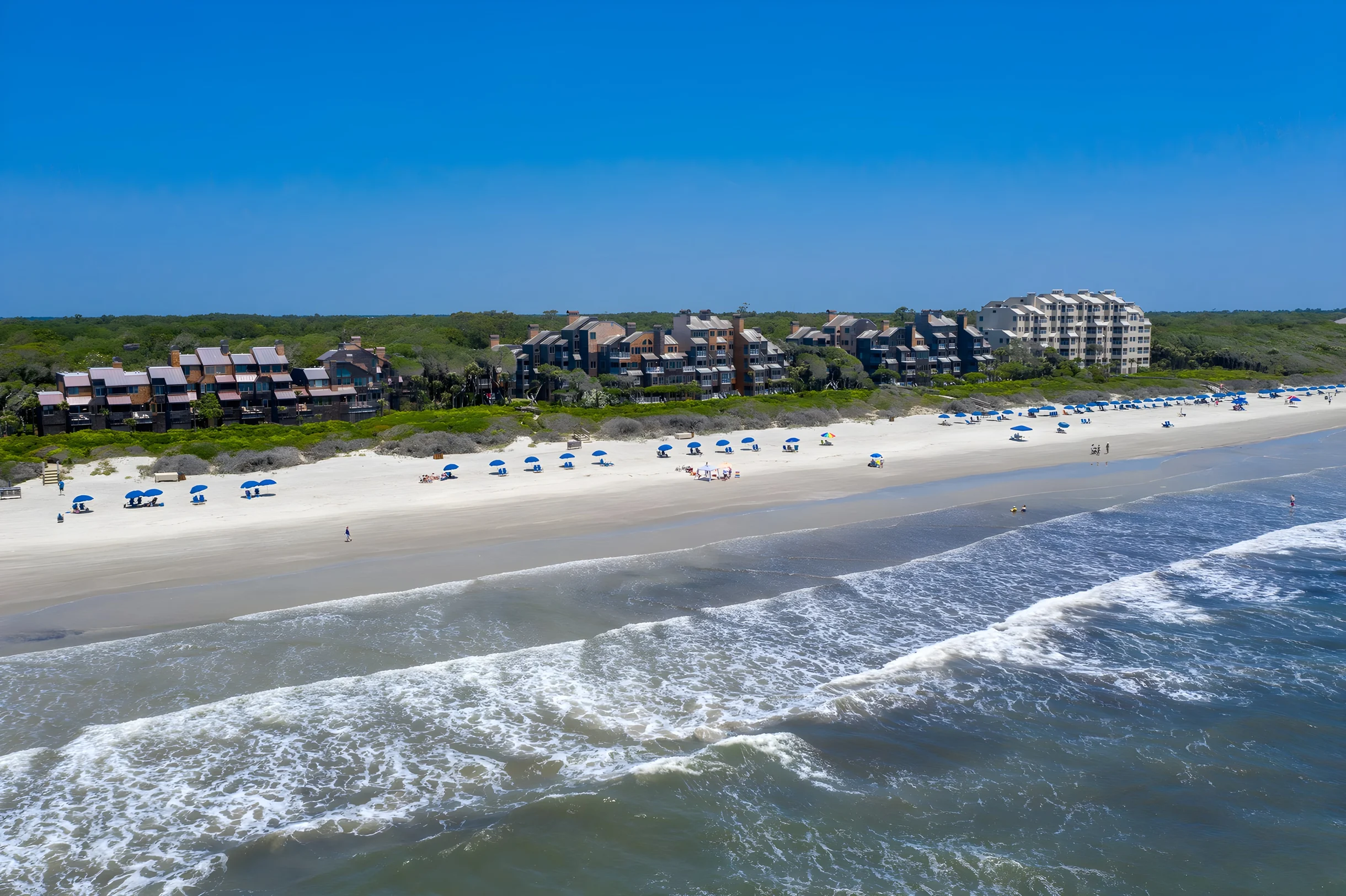 Wander Kiawah Palmettos #5