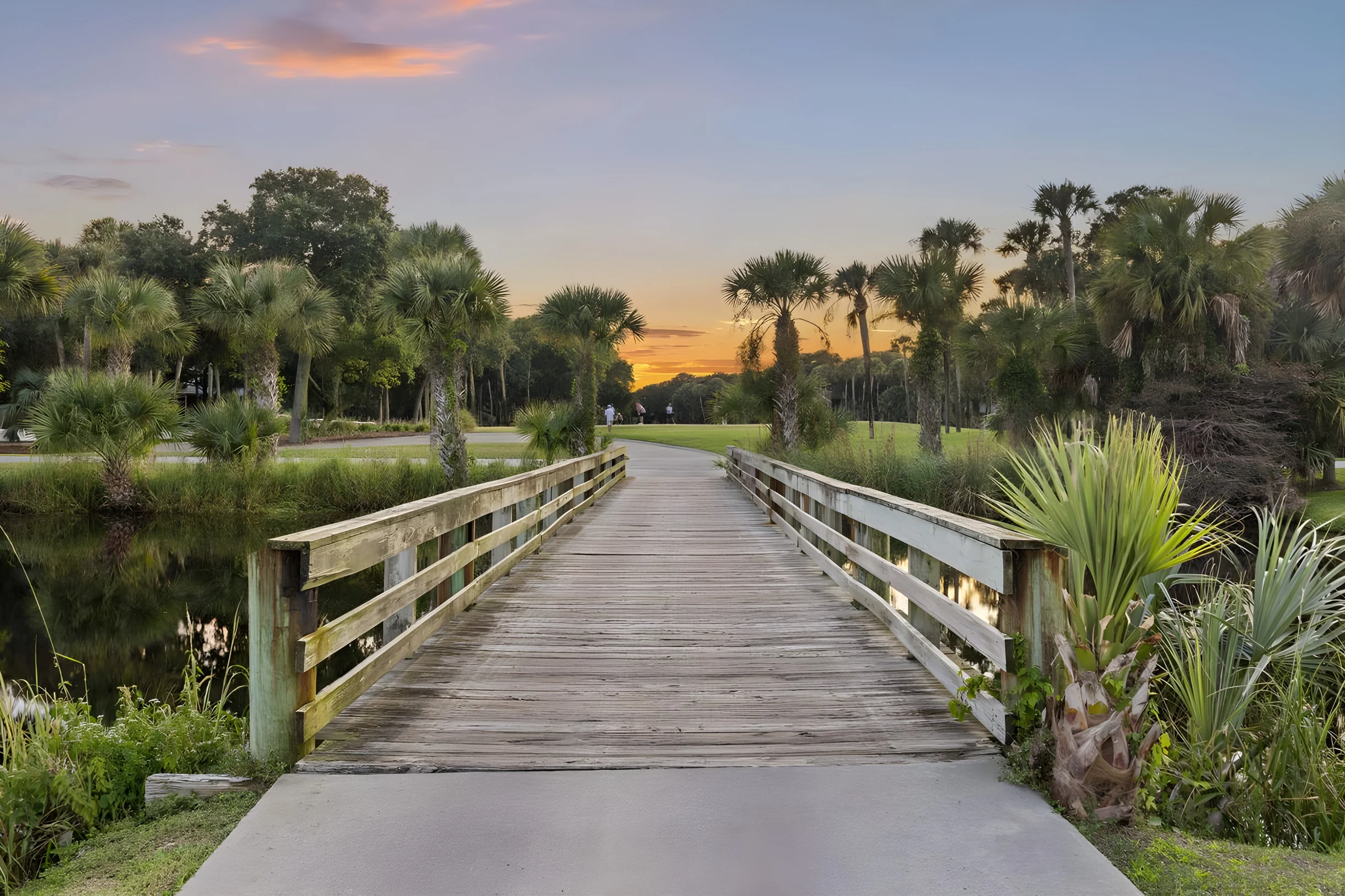 Wander Kiawah Marsh #48