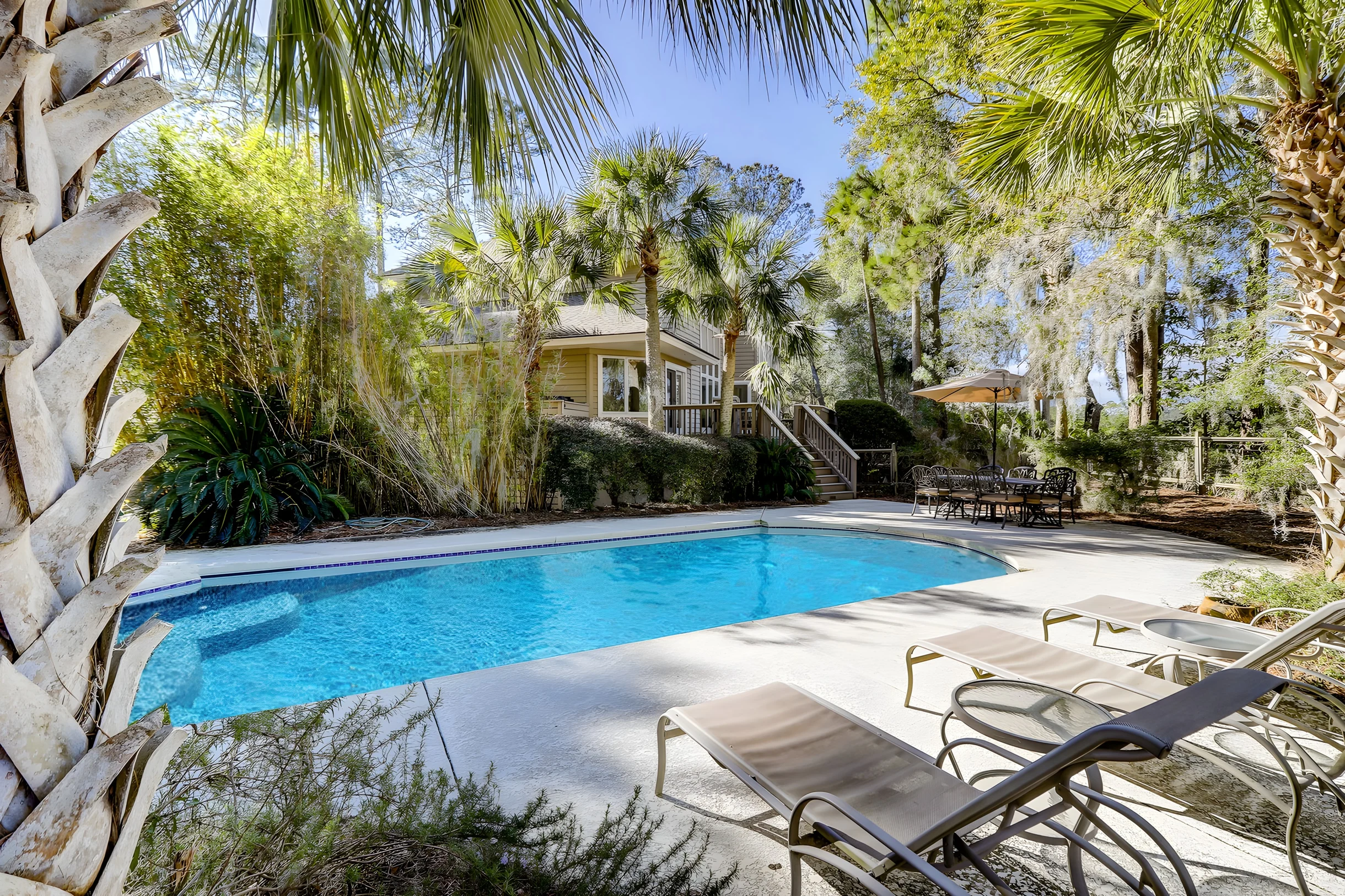 GI700: 700 Glossy Ibis #11