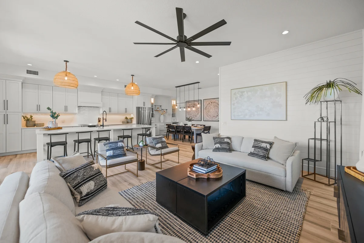 Wander Siesta Tides #43