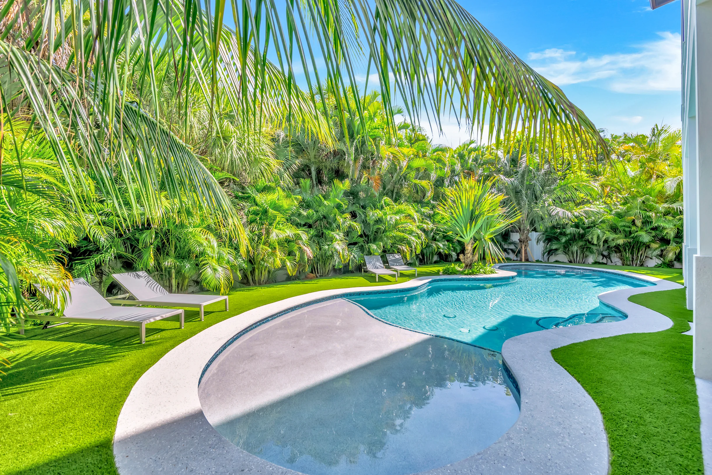 Wander Bradenton Beach Mangroves #5