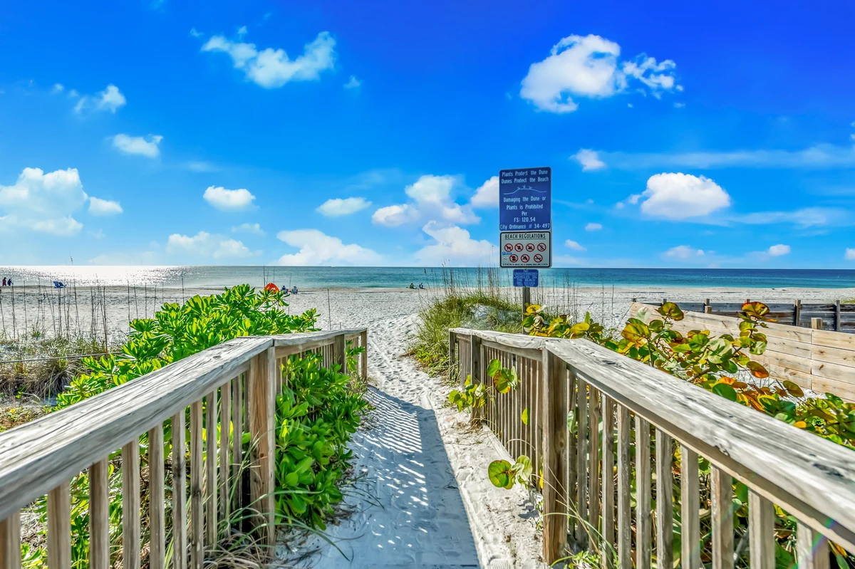 Wander Bradenton Beach Palms #7