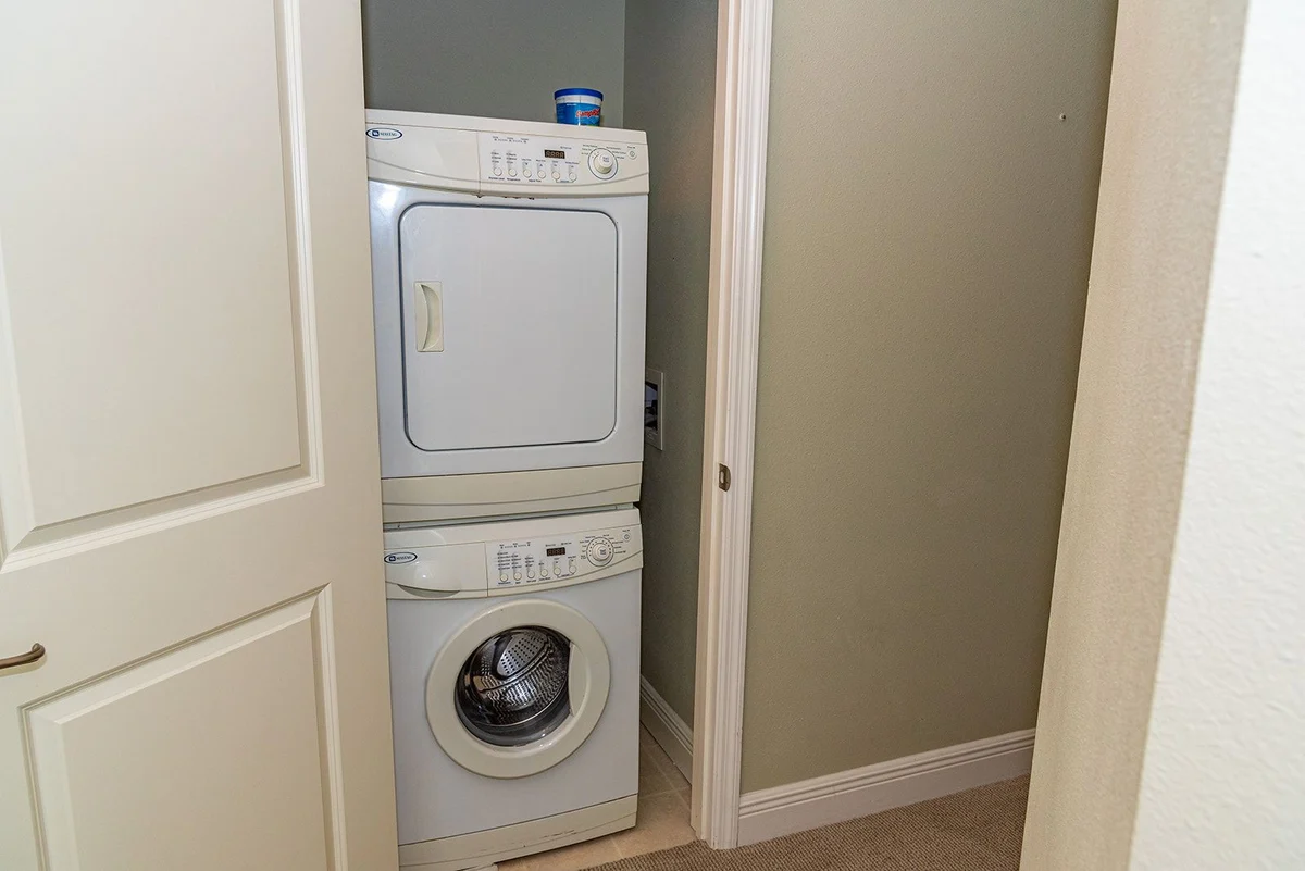 Wander Bradenton Beach Palms