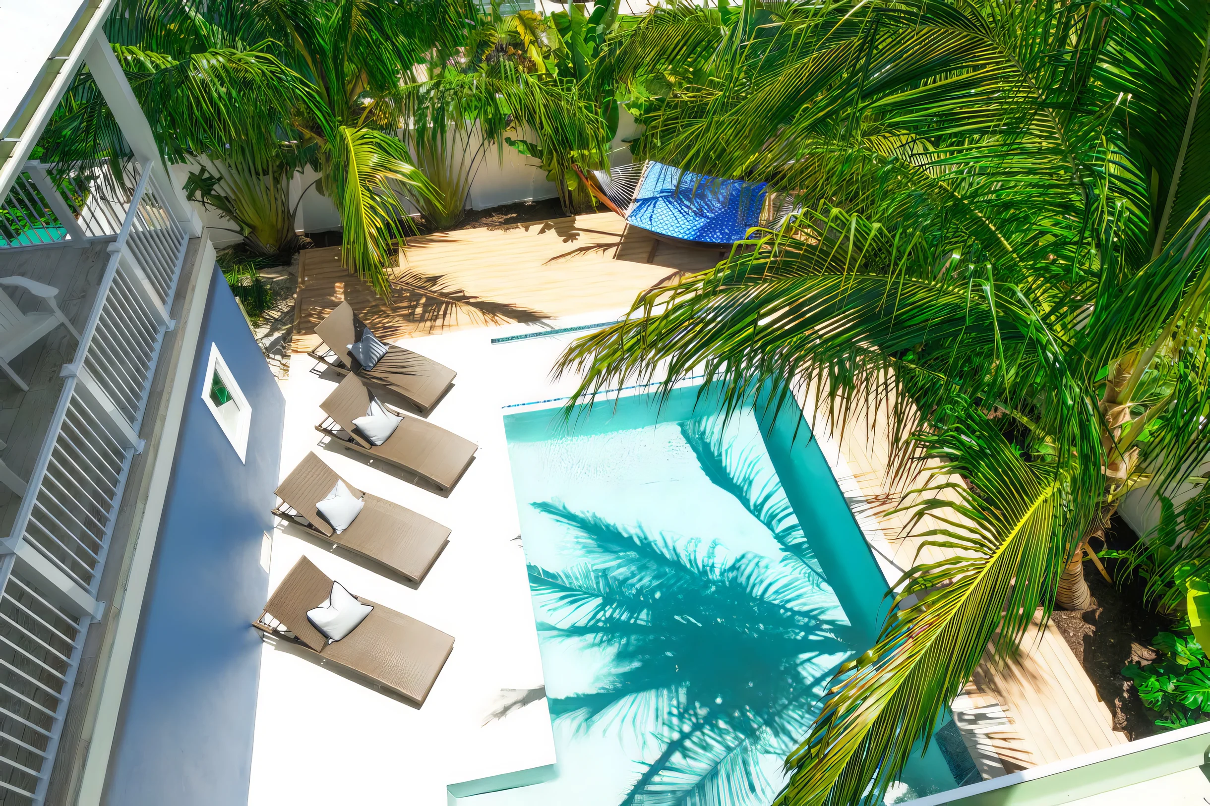 Wander Anna Maria Horizon #31