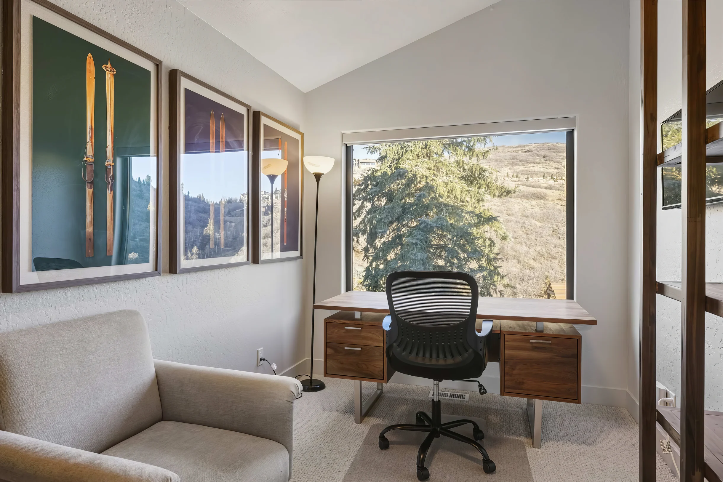 Wander Park City Aerie #10