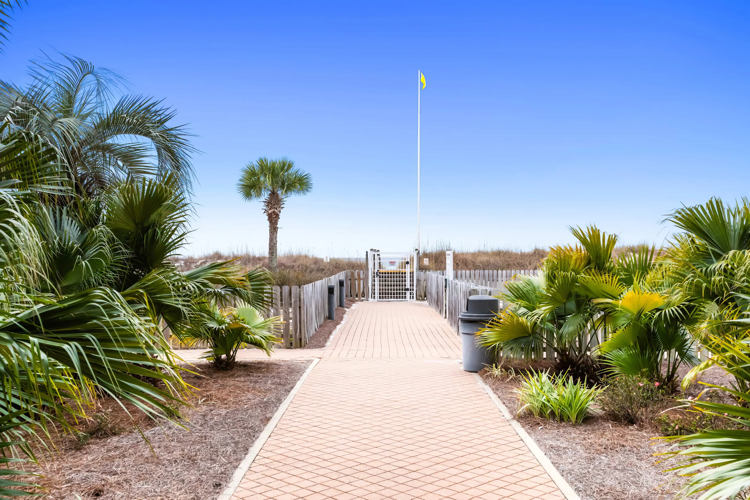 Wander Panama Escape #14