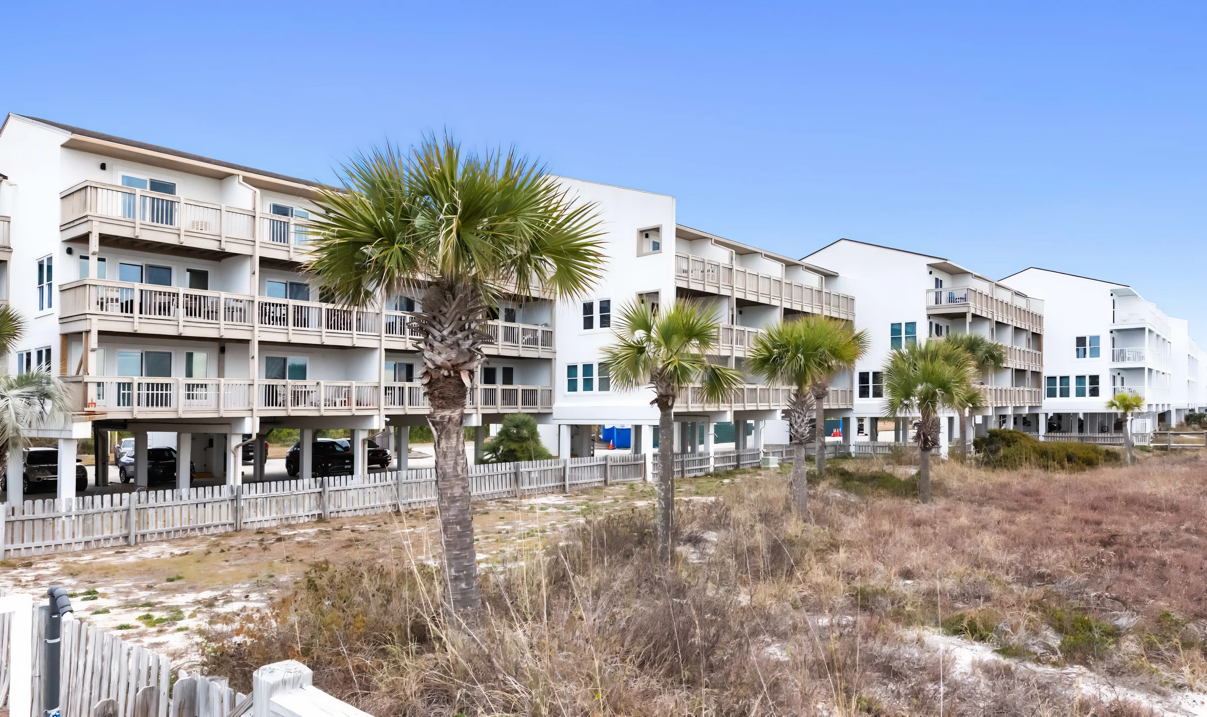 Wander Panama Escape #4