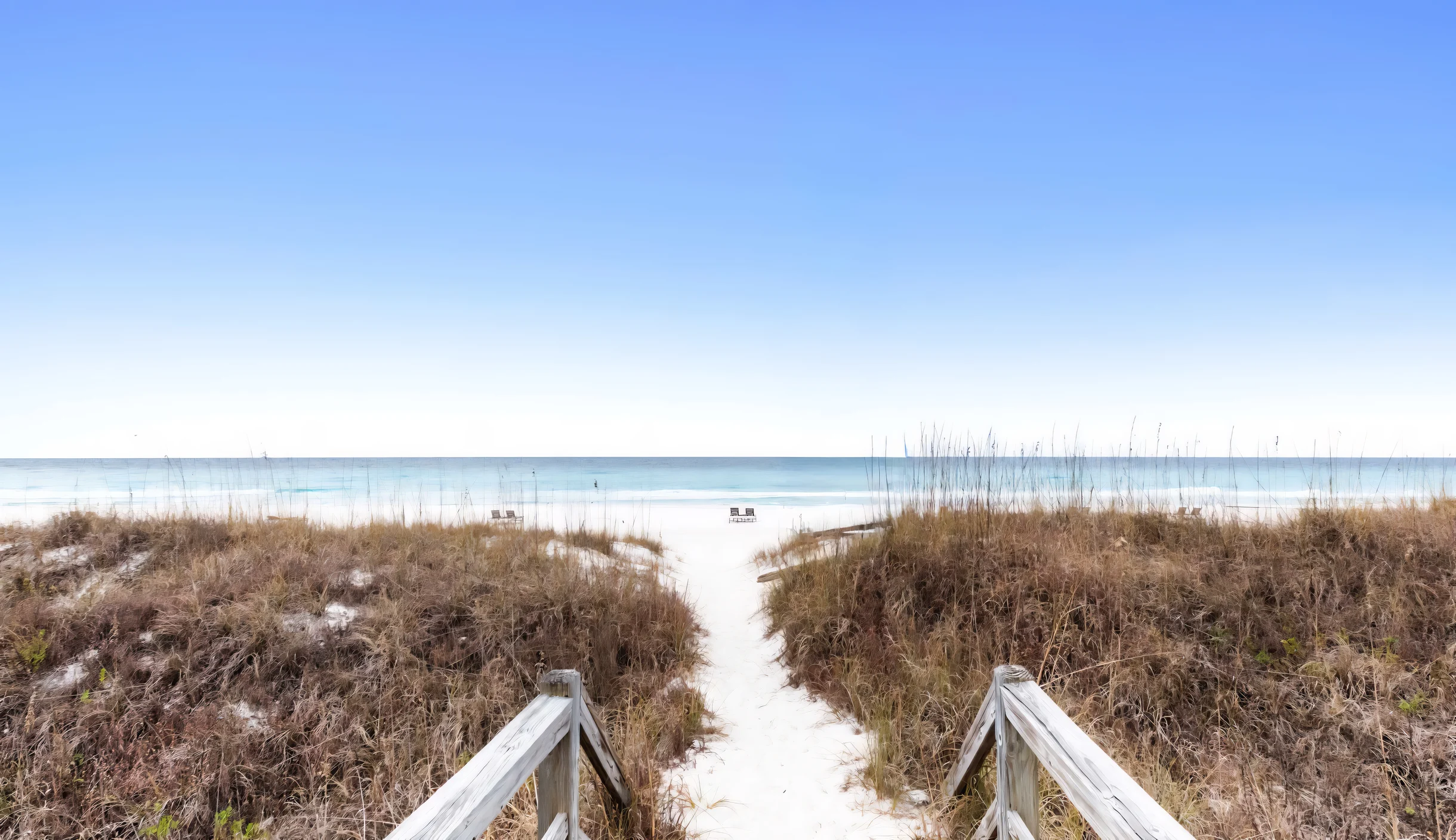 Wander Panama Escape #5