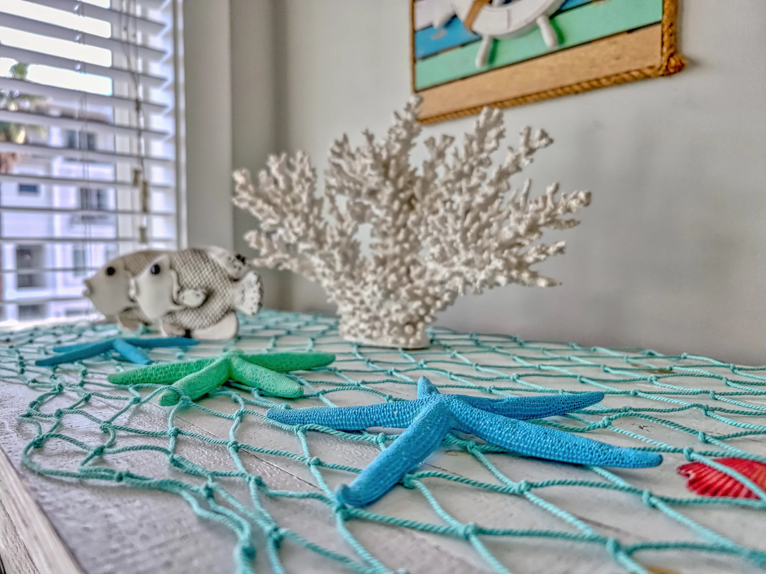 Wander Hilton Head Driftwood #67