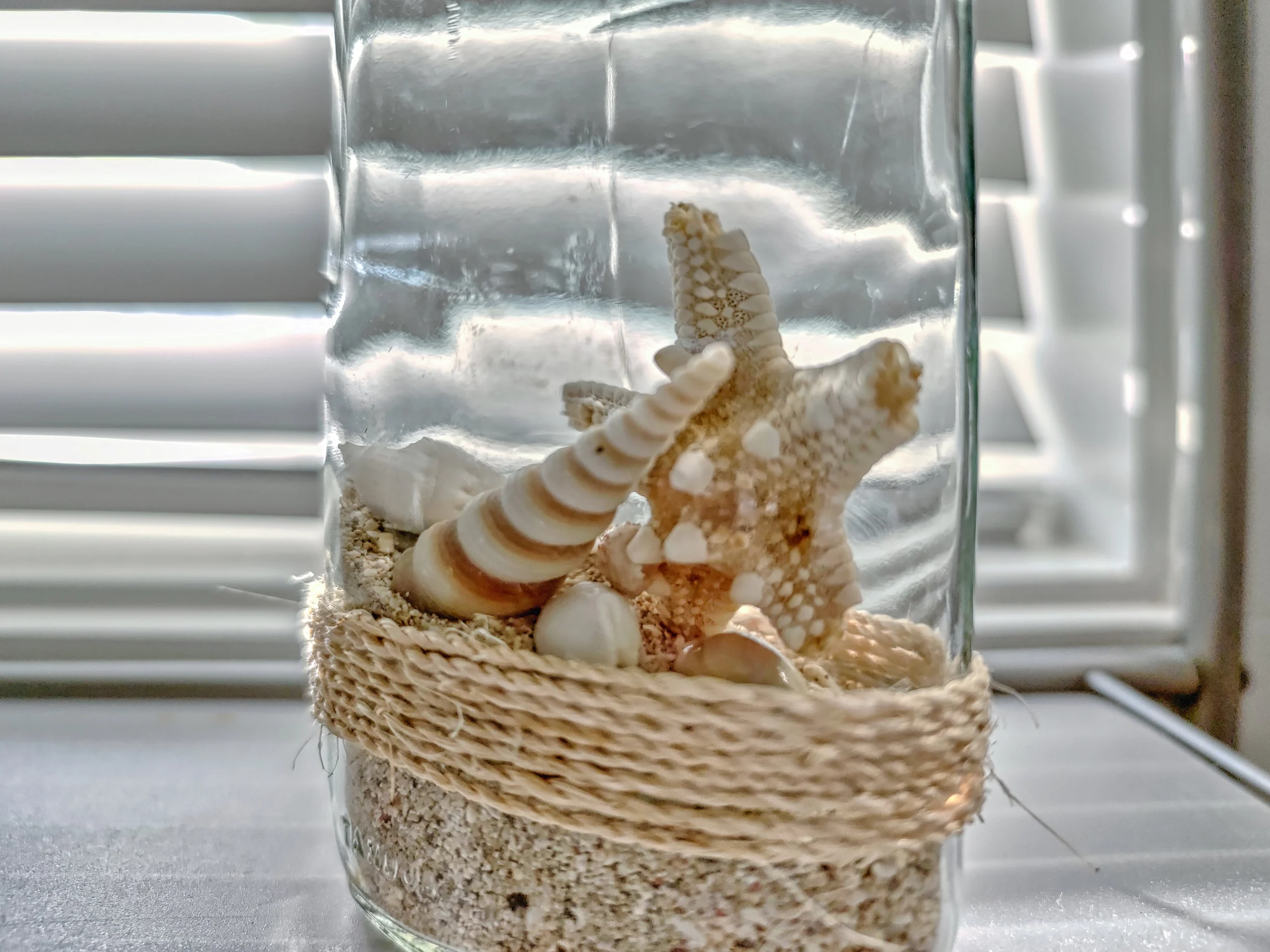 Wander Hilton Head Driftwood #63