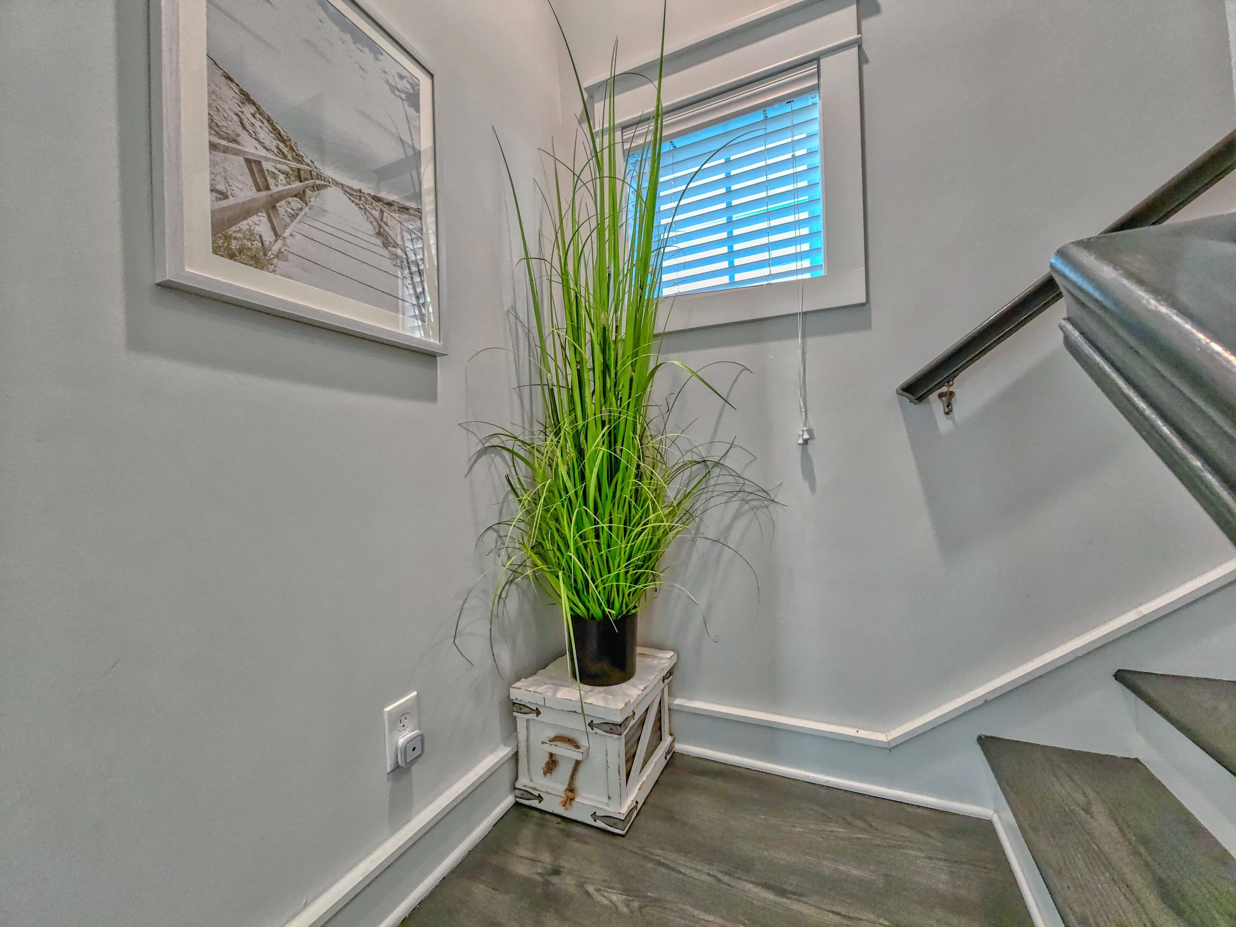 Wander Hilton Head Driftwood #47