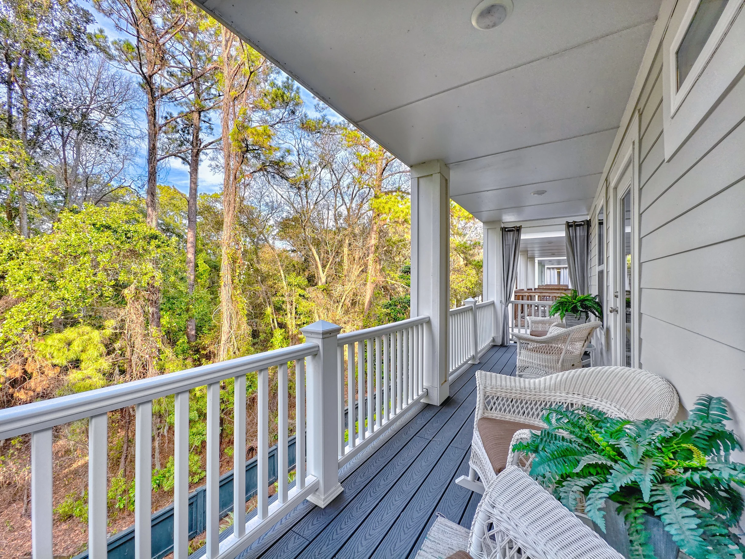 Wander Hilton Head Driftwood #49
