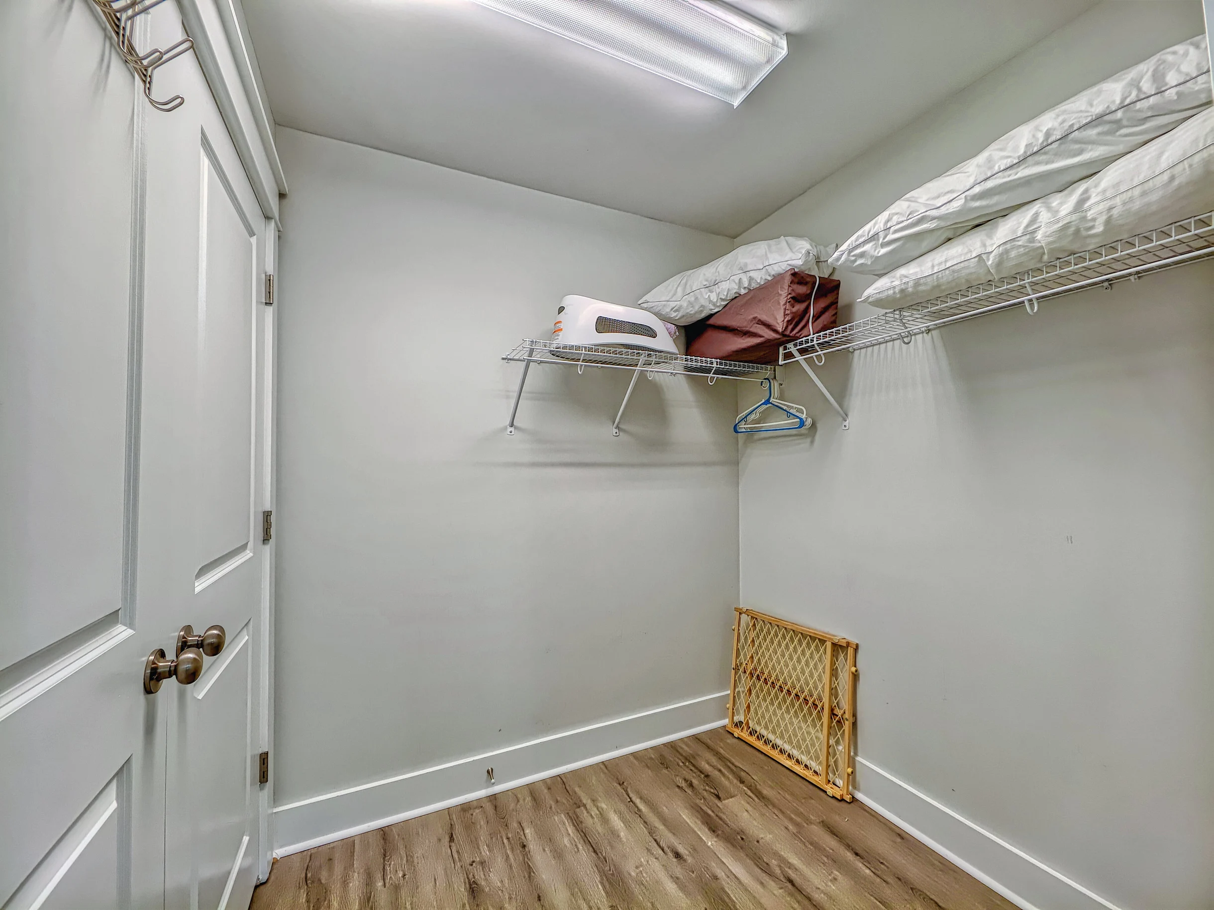 Wander Hilton Head Driftwood