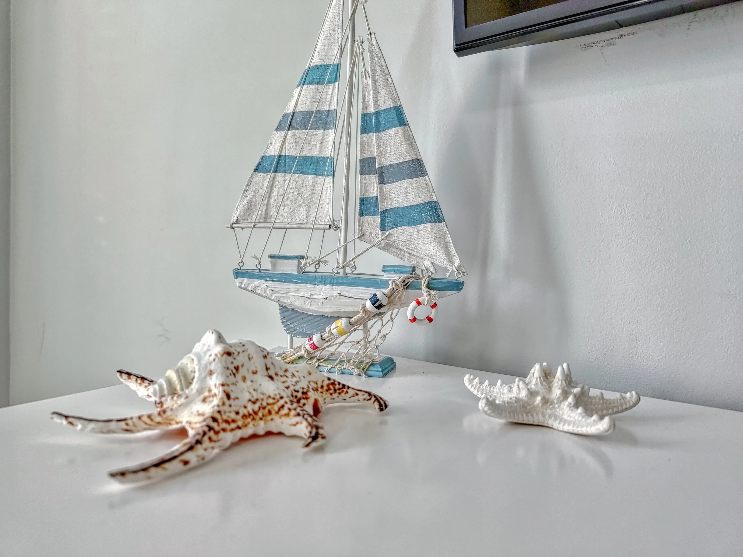 Wander Hilton Head Driftwood #72