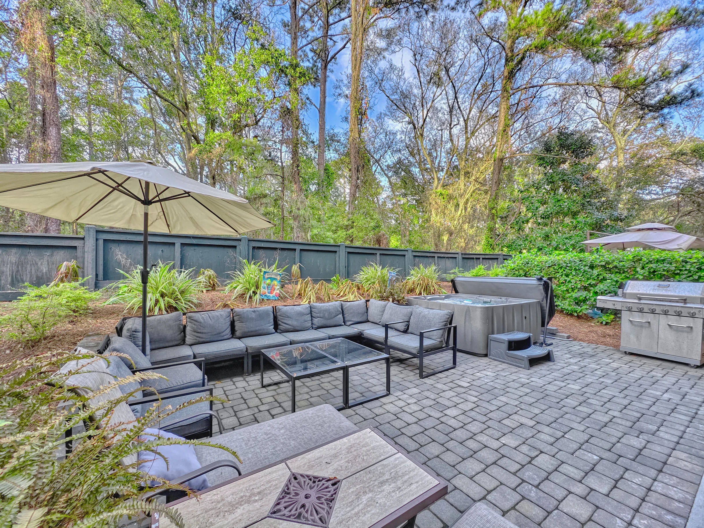 Wander Hilton Head Driftwood #54