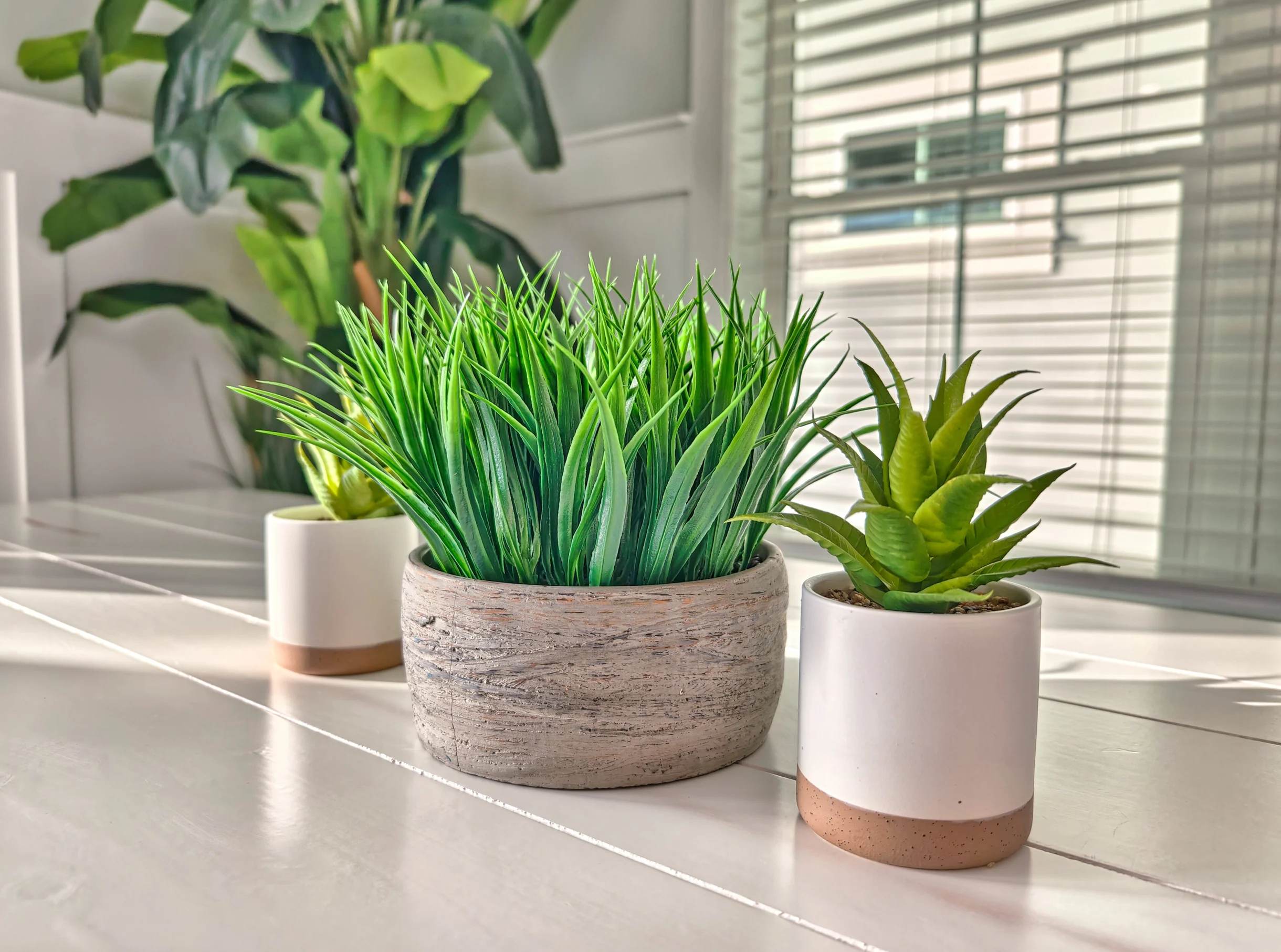 Wander Folly Field Drift #100