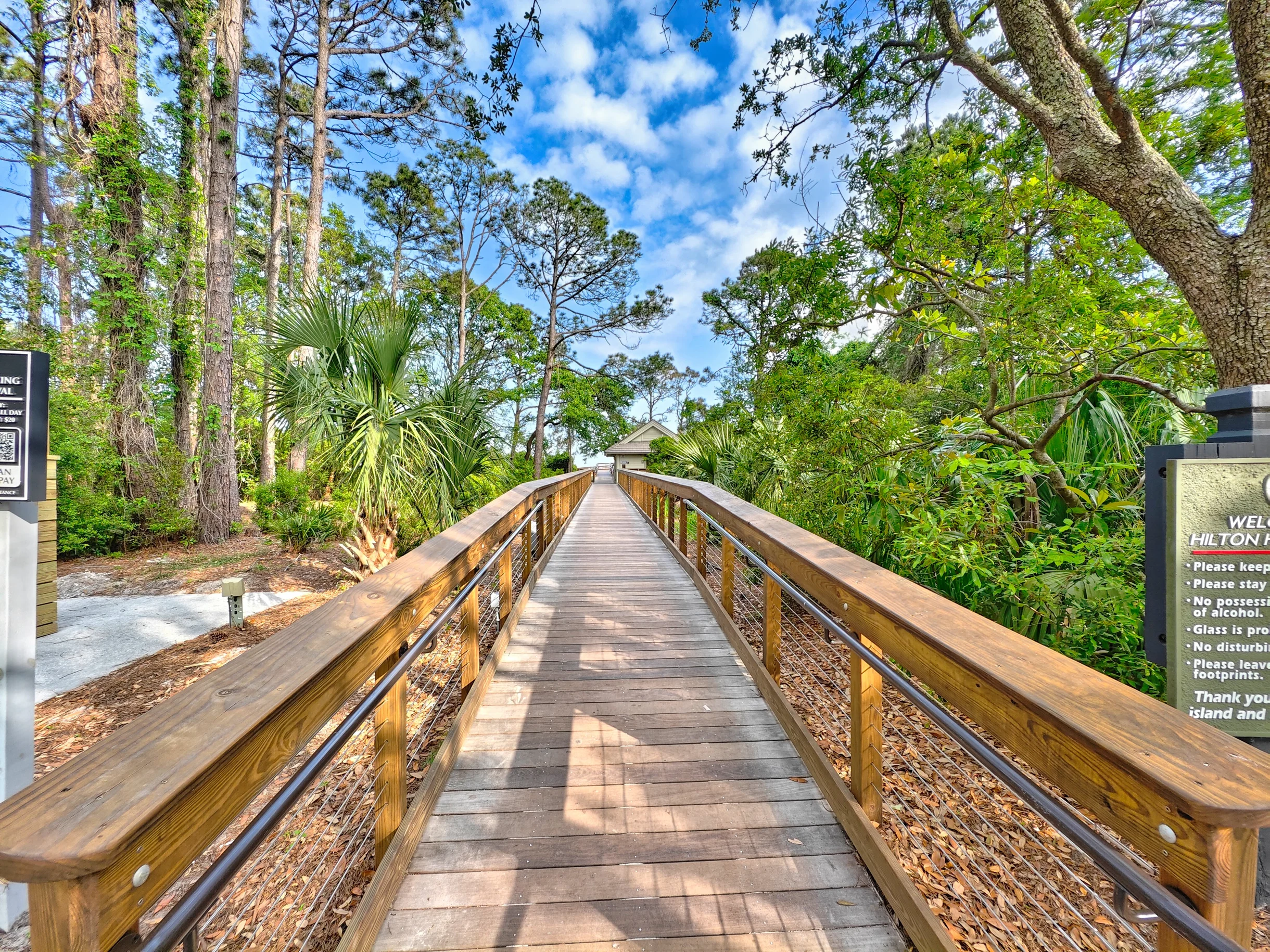 Wander Hilton Head Whisper #93