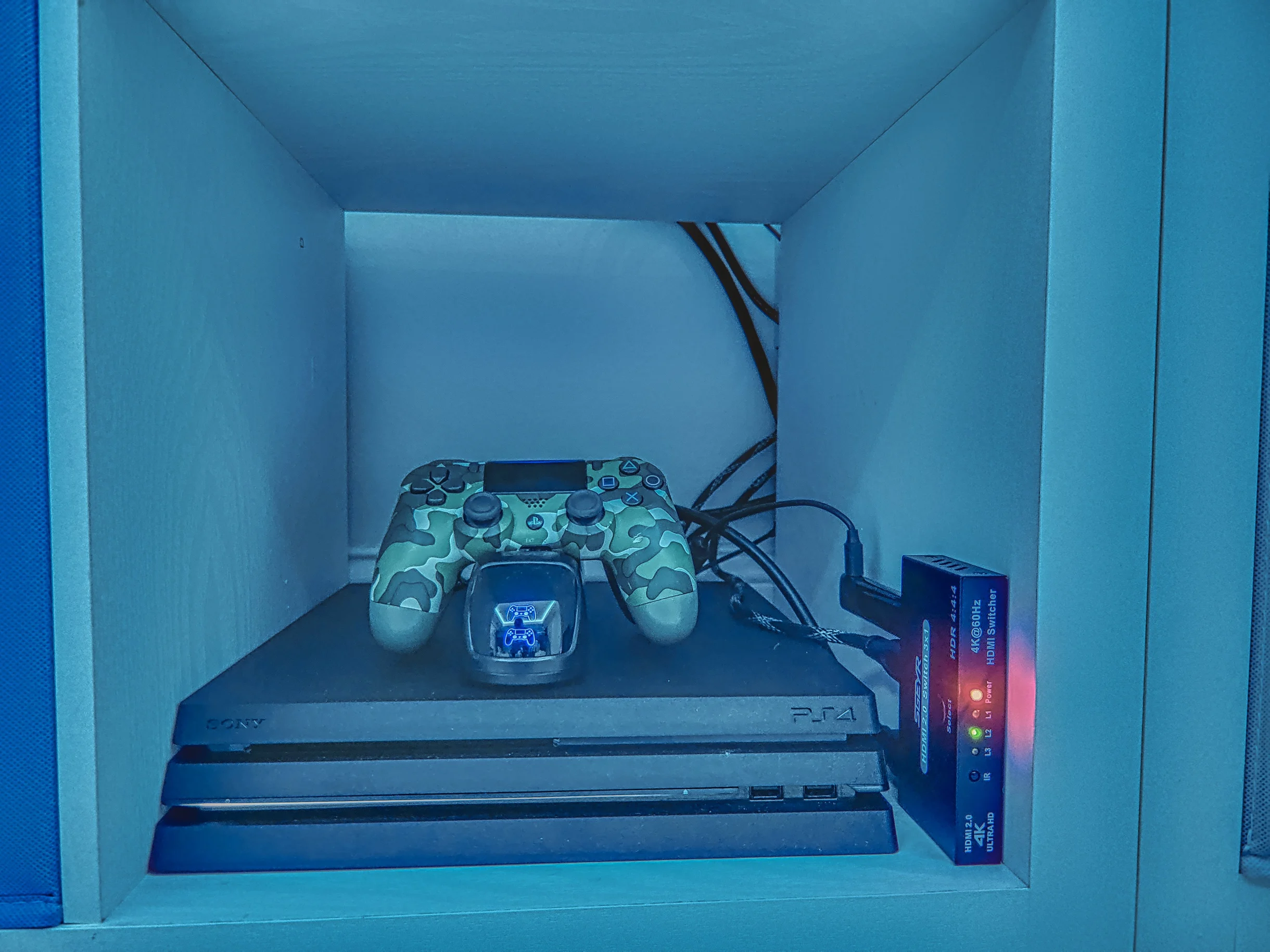 Wander Hilton Head Singleton #28