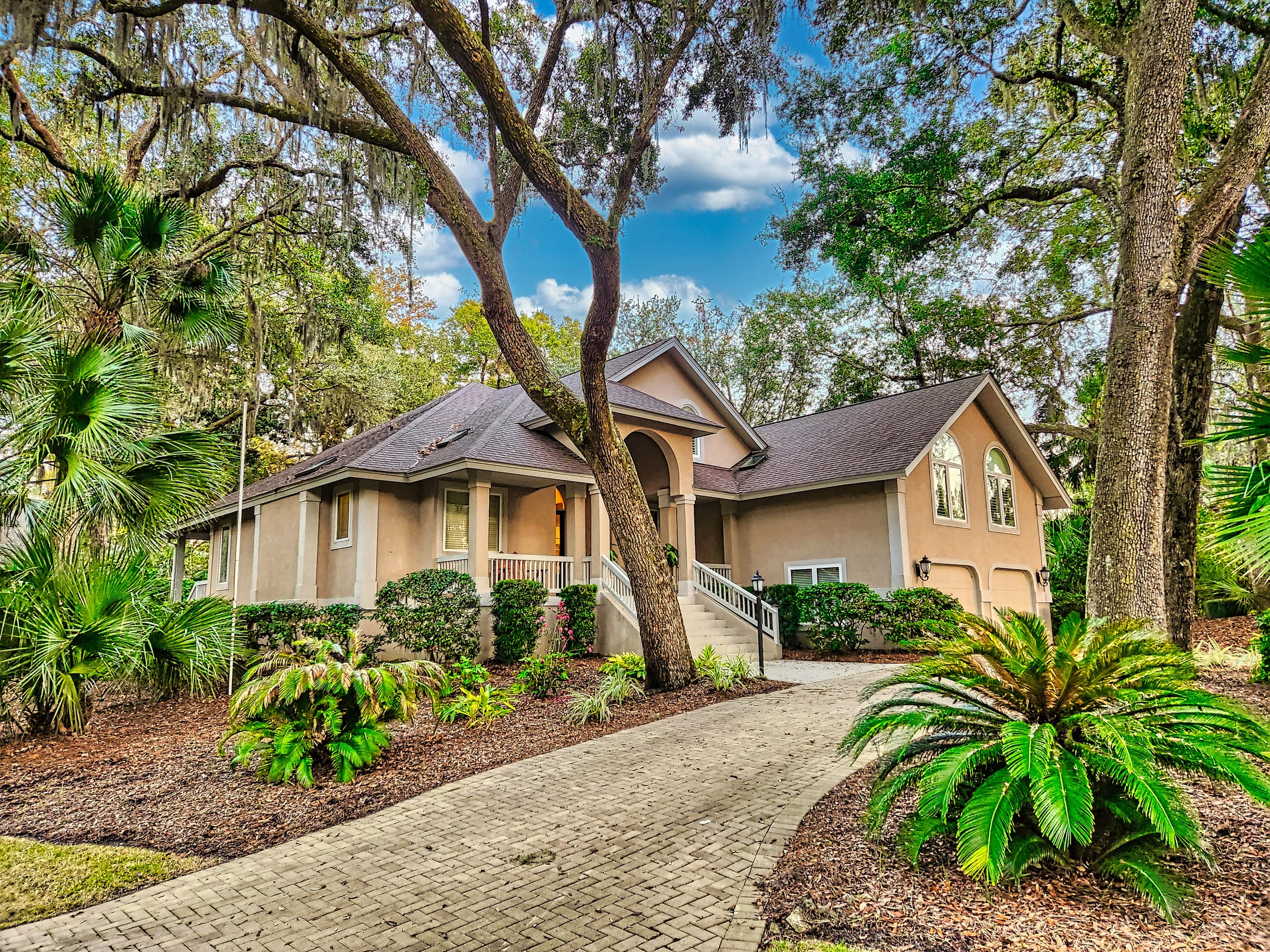 Wander Hilton Head Dolphins #4