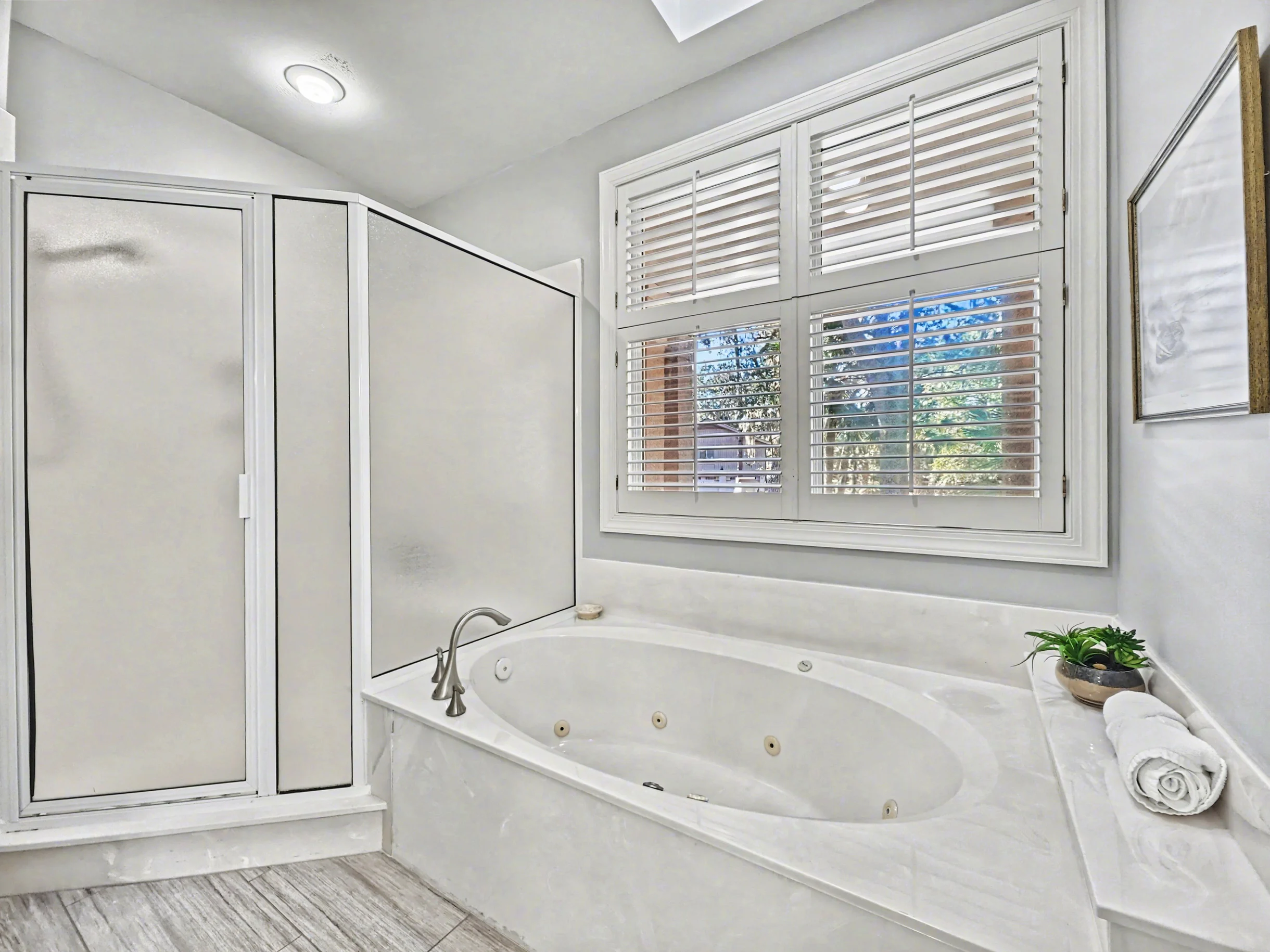 Wander Hilton Head Dolphins #22