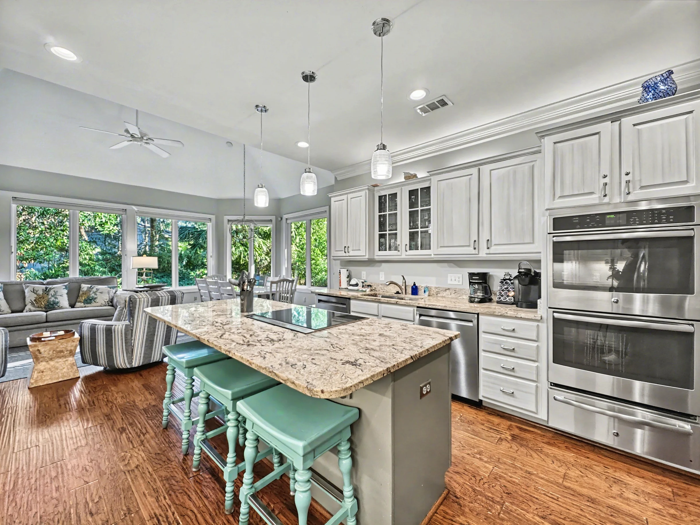 Wander Hilton Head Dolphins #8