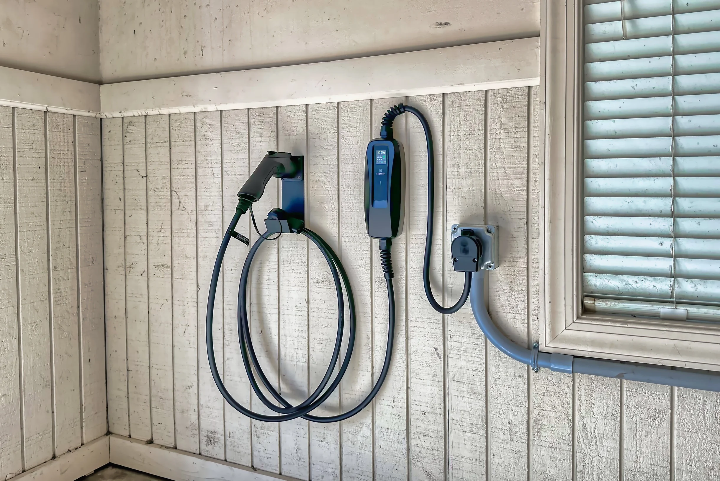 Wander Hilton Head Dolphins #61