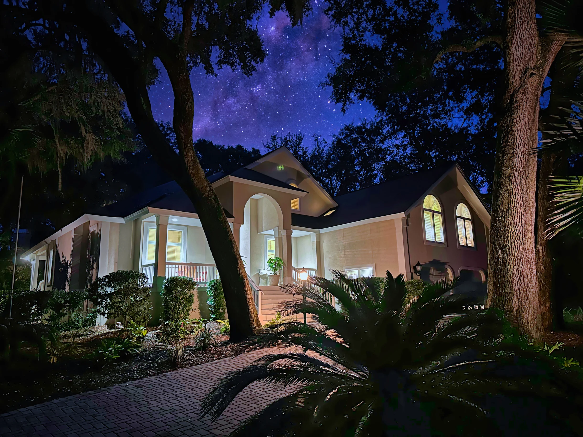 Wander Hilton Head Dolphins #6