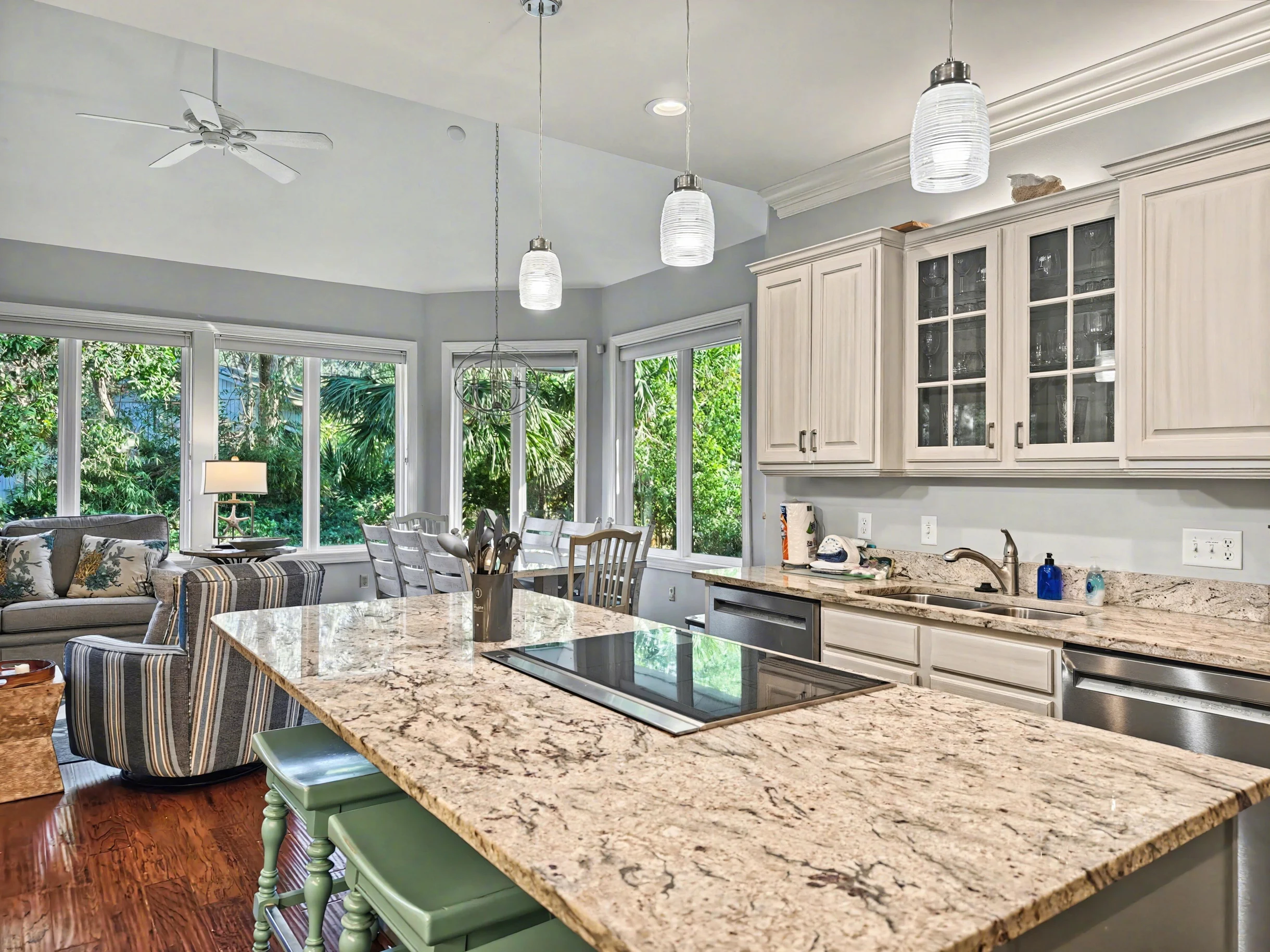 Wander Hilton Head Dolphins #57