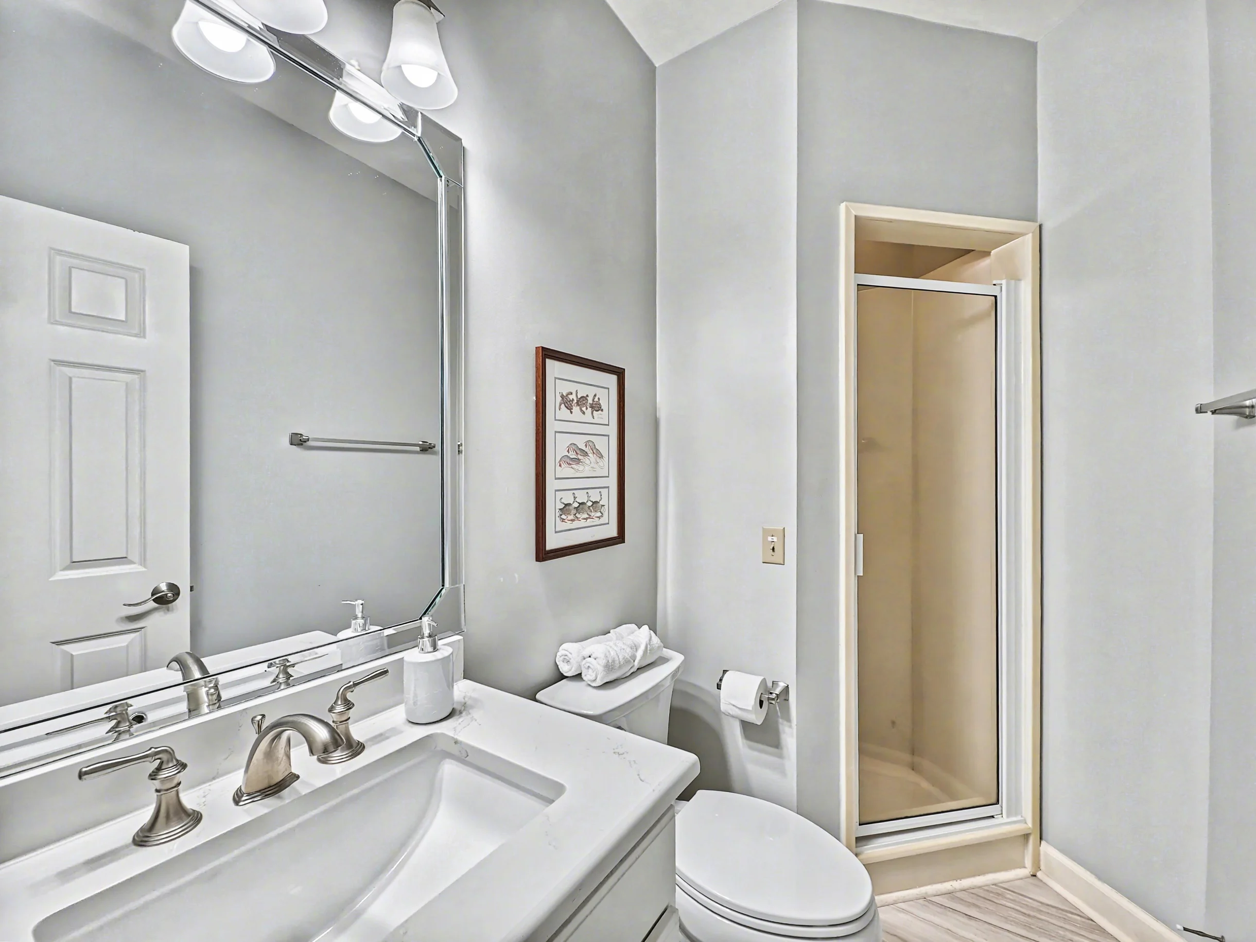 Wander Hilton Head Dolphins #20