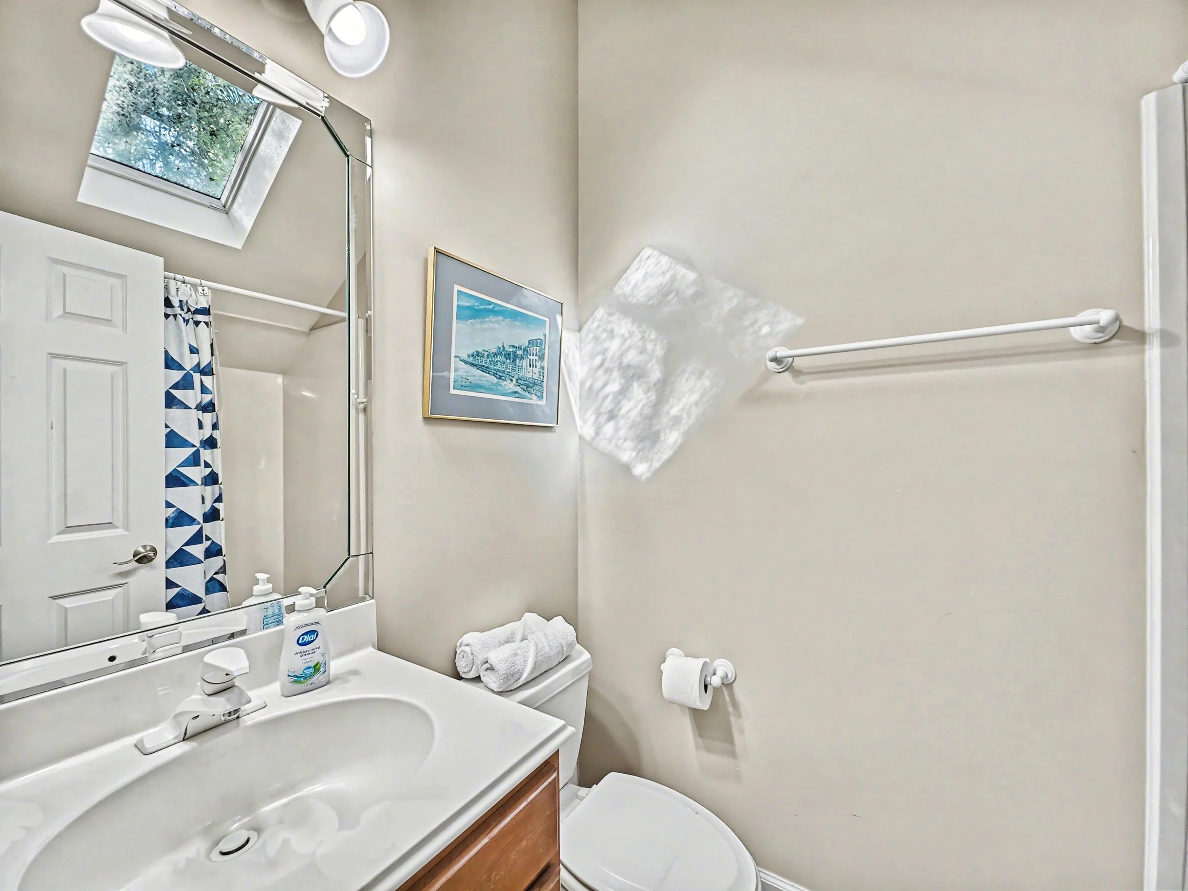 Wander Hilton Head Dolphins #42