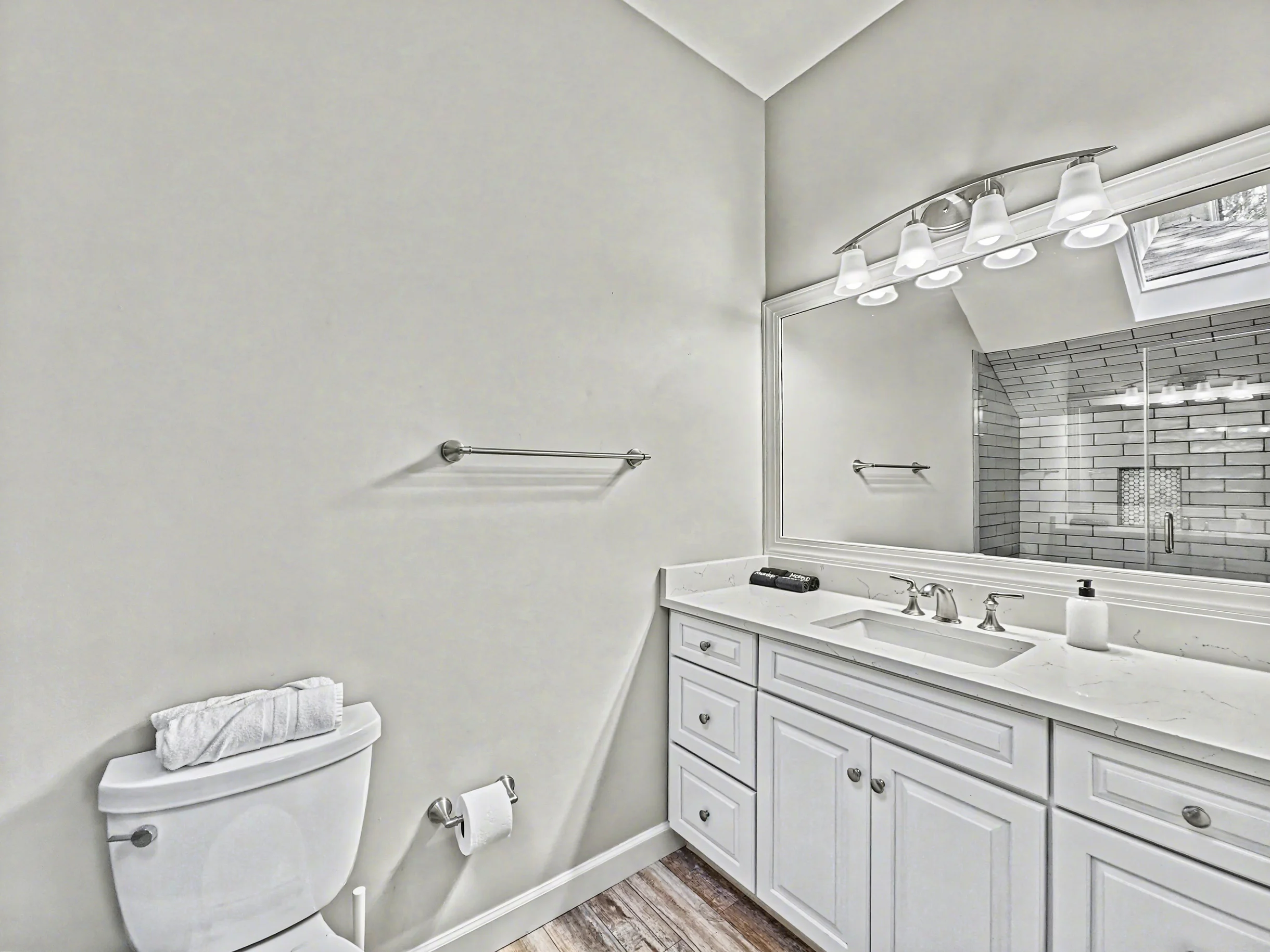 Wander Hilton Head Dolphins #23