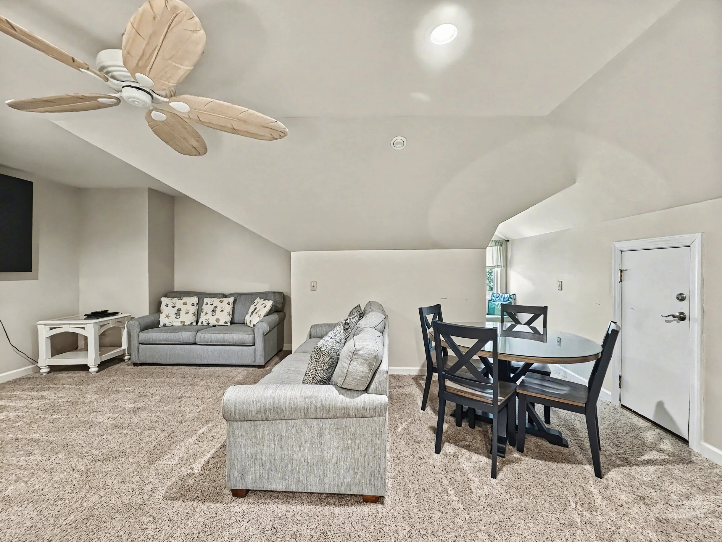 Wander Hilton Head Dolphins #88