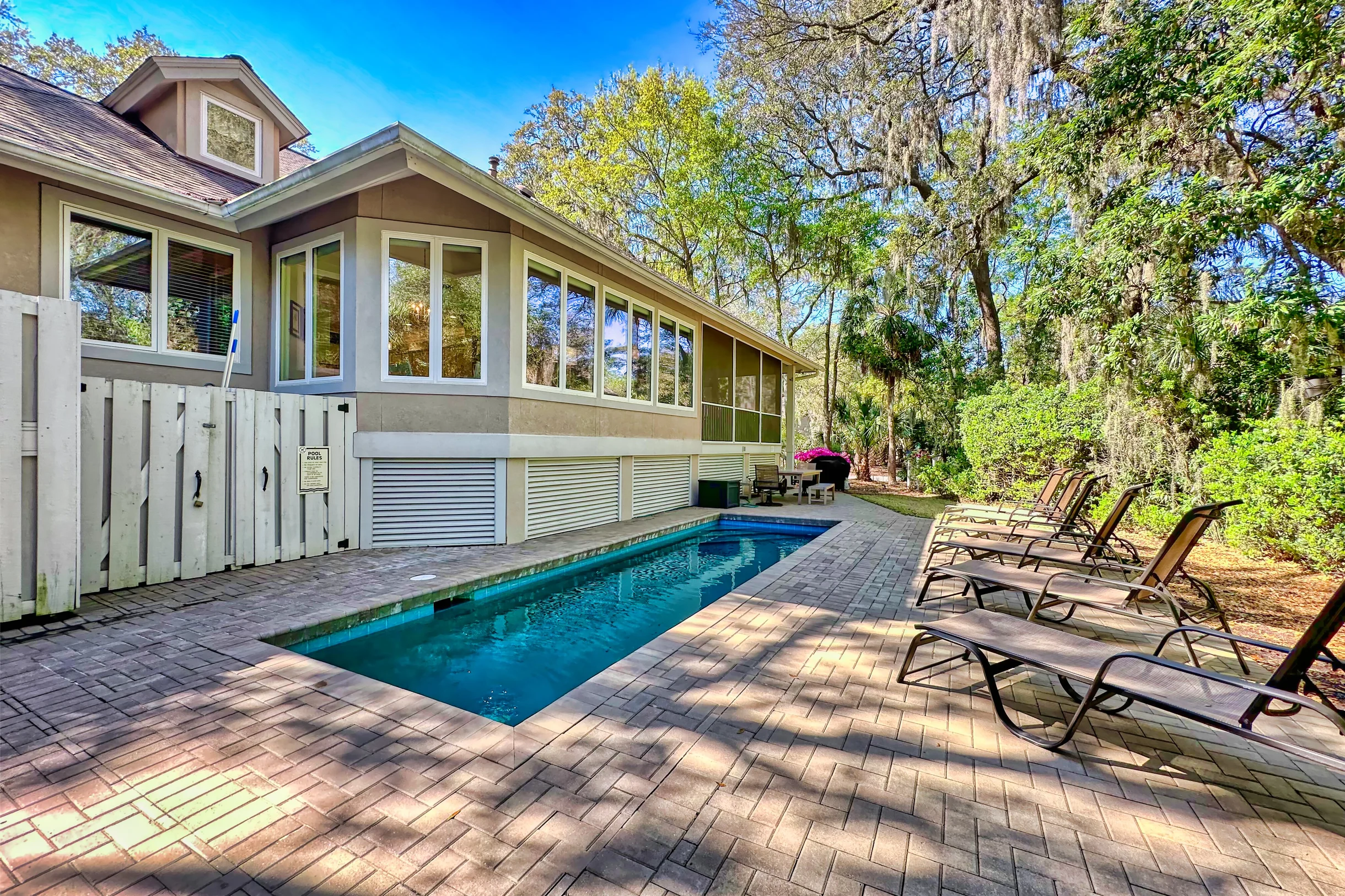 Wander Hilton Head Dolphins #2