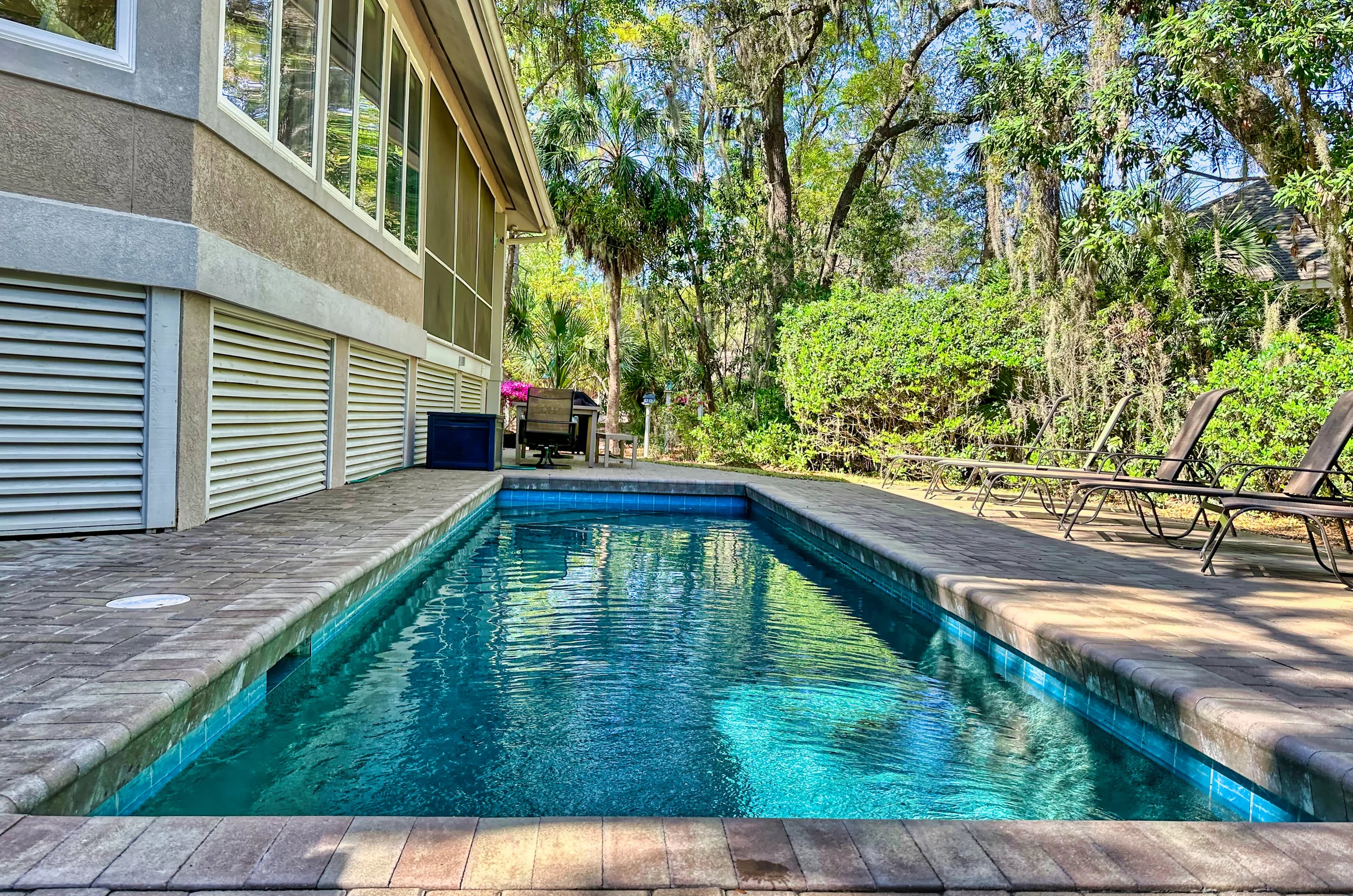 Wander Hilton Head Dolphins #63