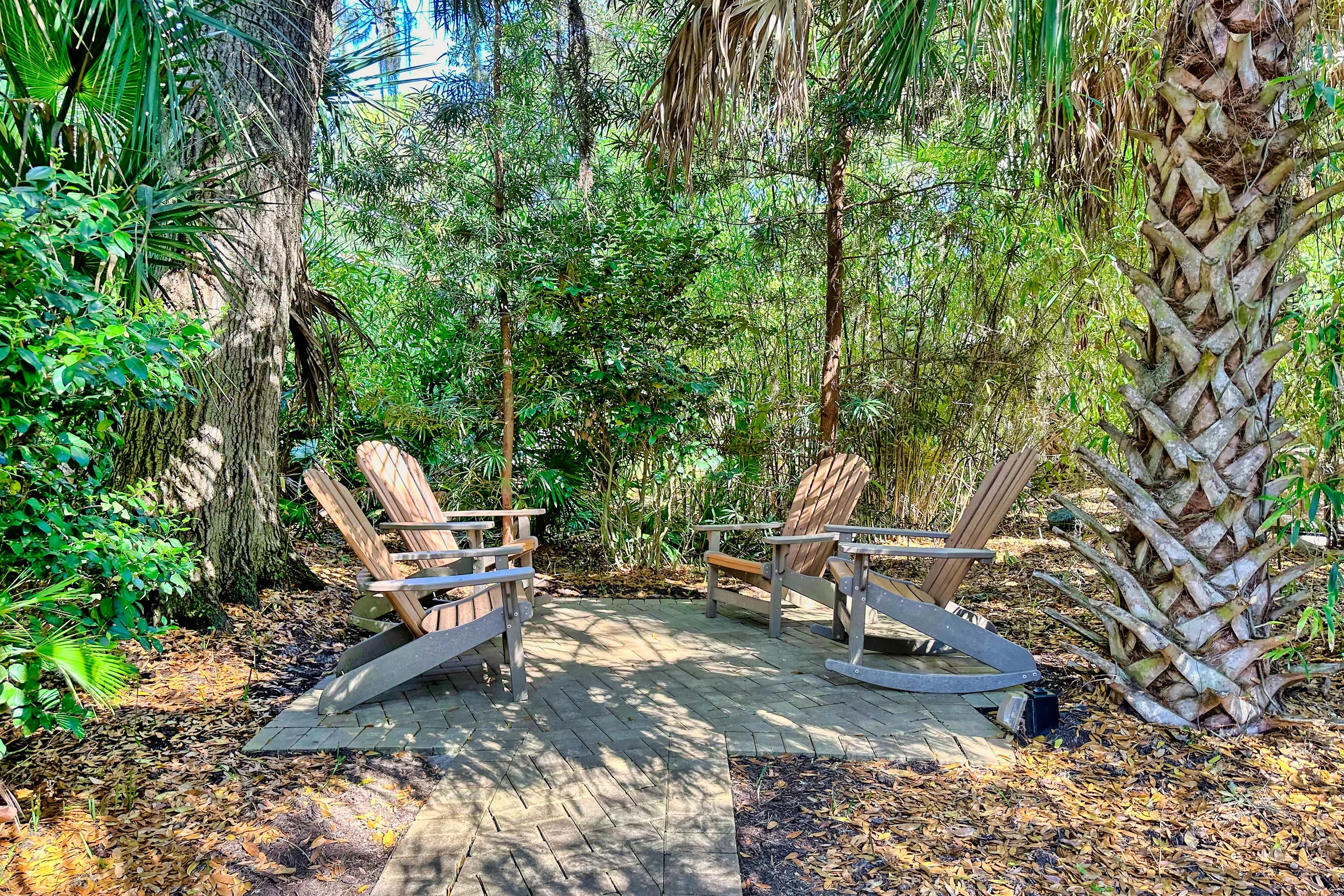 Wander Hilton Head Dolphins #24