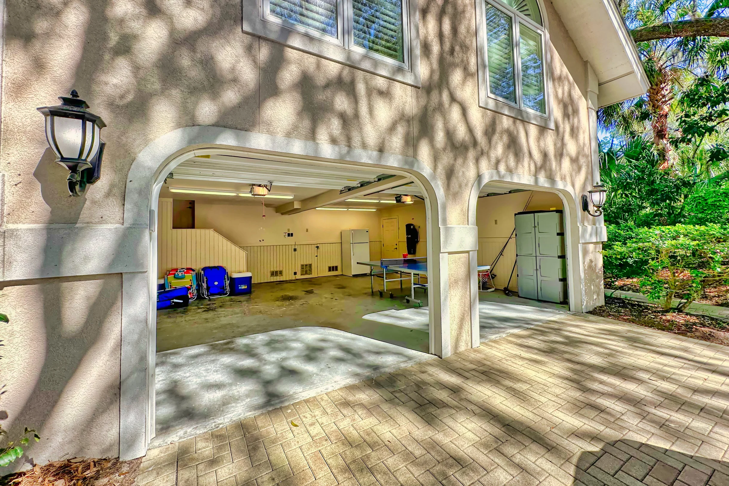 Wander Hilton Head Dolphins #72