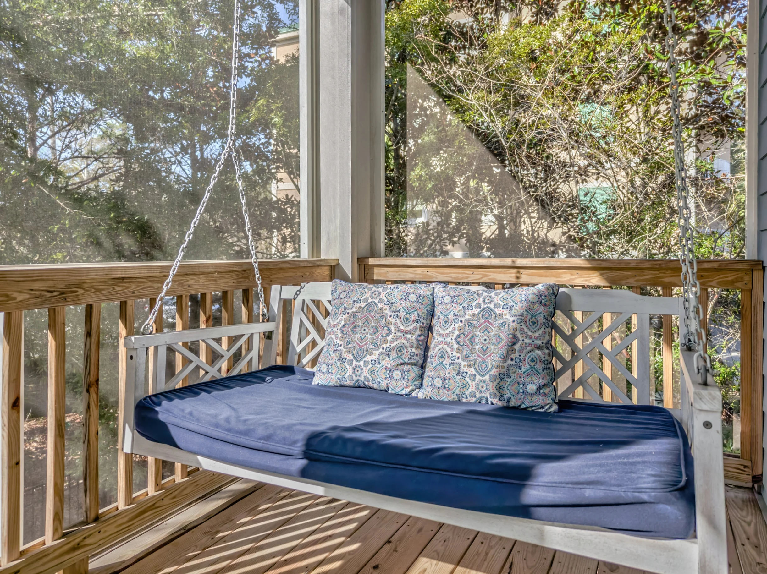 Wander Hilton Head Alligators #95