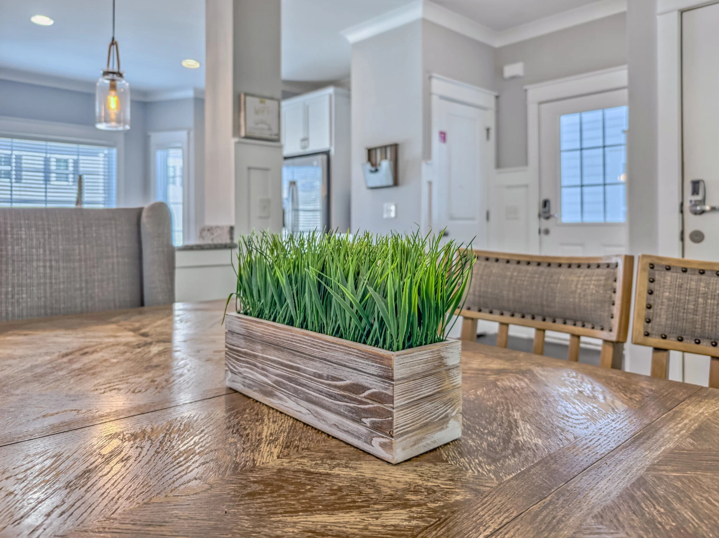 Wander Hilton Head Alligators #64