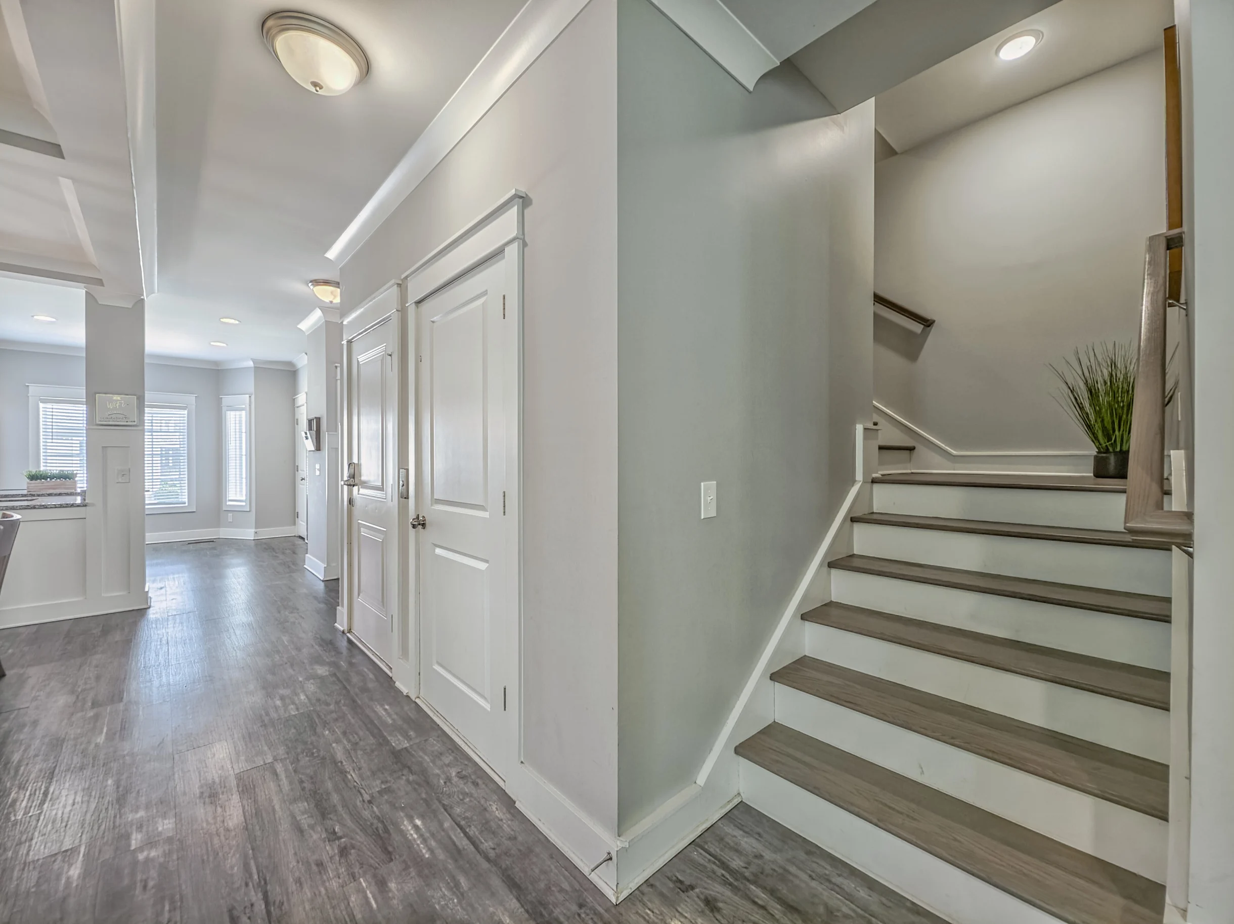 Wander Hilton Head Alligators #116