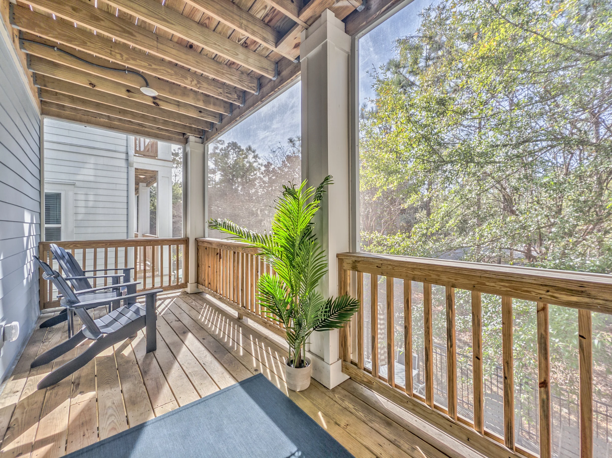 Wander Hilton Head Alligators #23